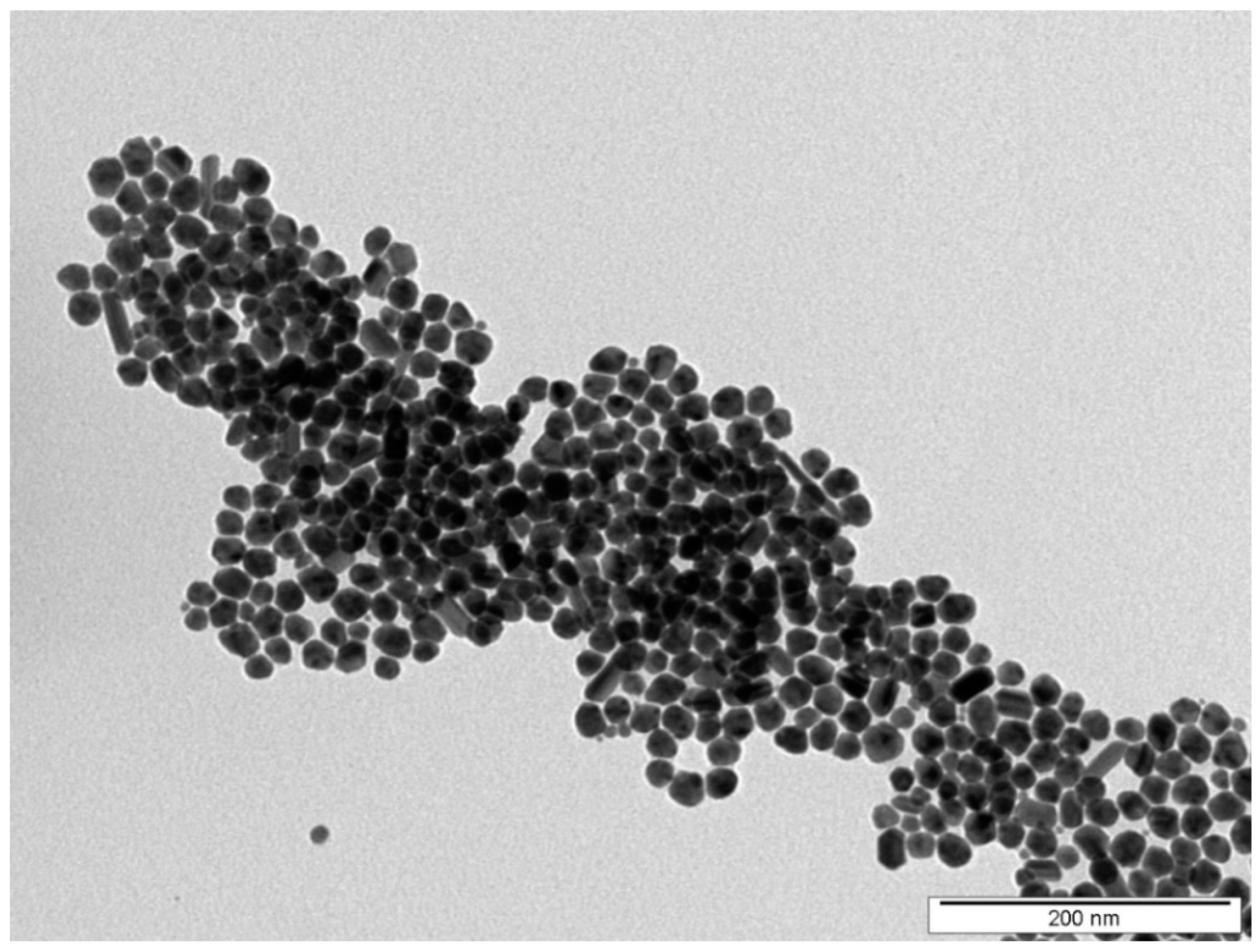 Nanomaterials 12 00792 g001