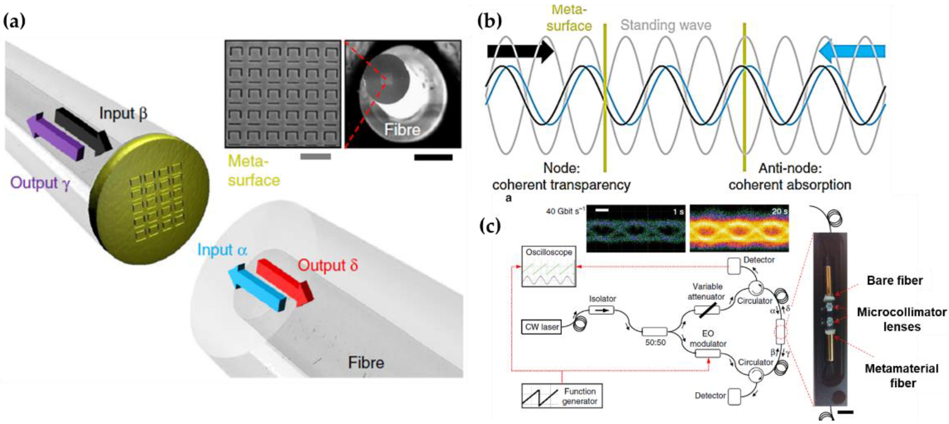 Nanomaterials 12 00793 g013