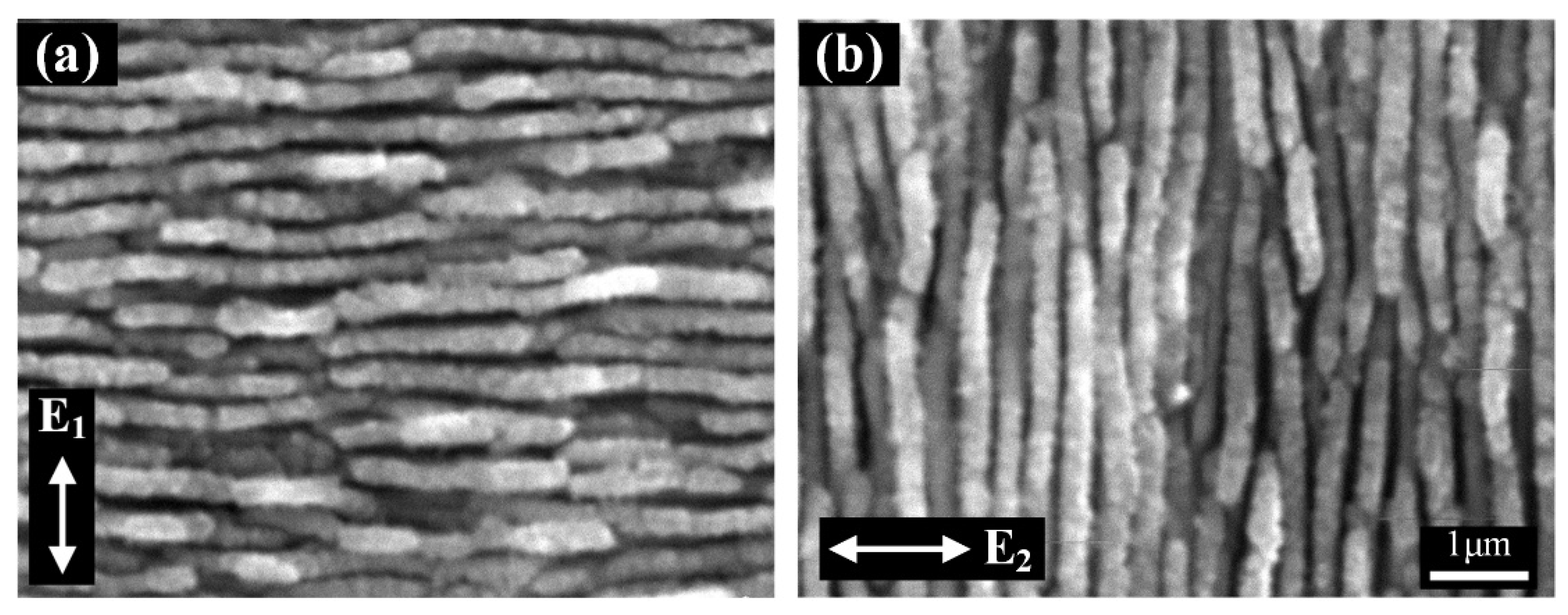 Nanomaterials 12 00796 g002