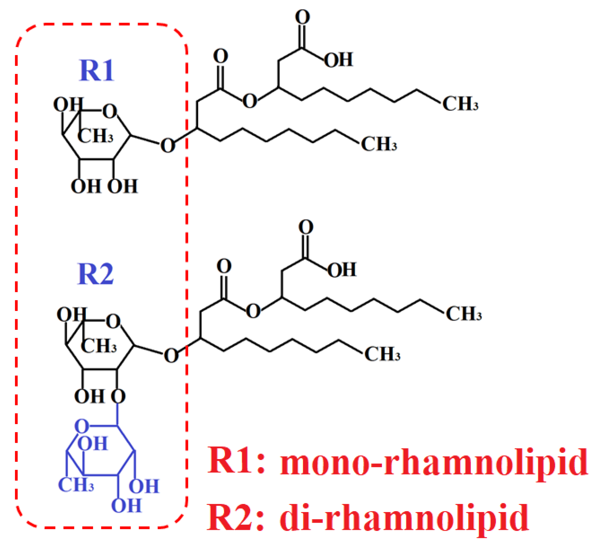 Nanomaterials 12 00803 g002