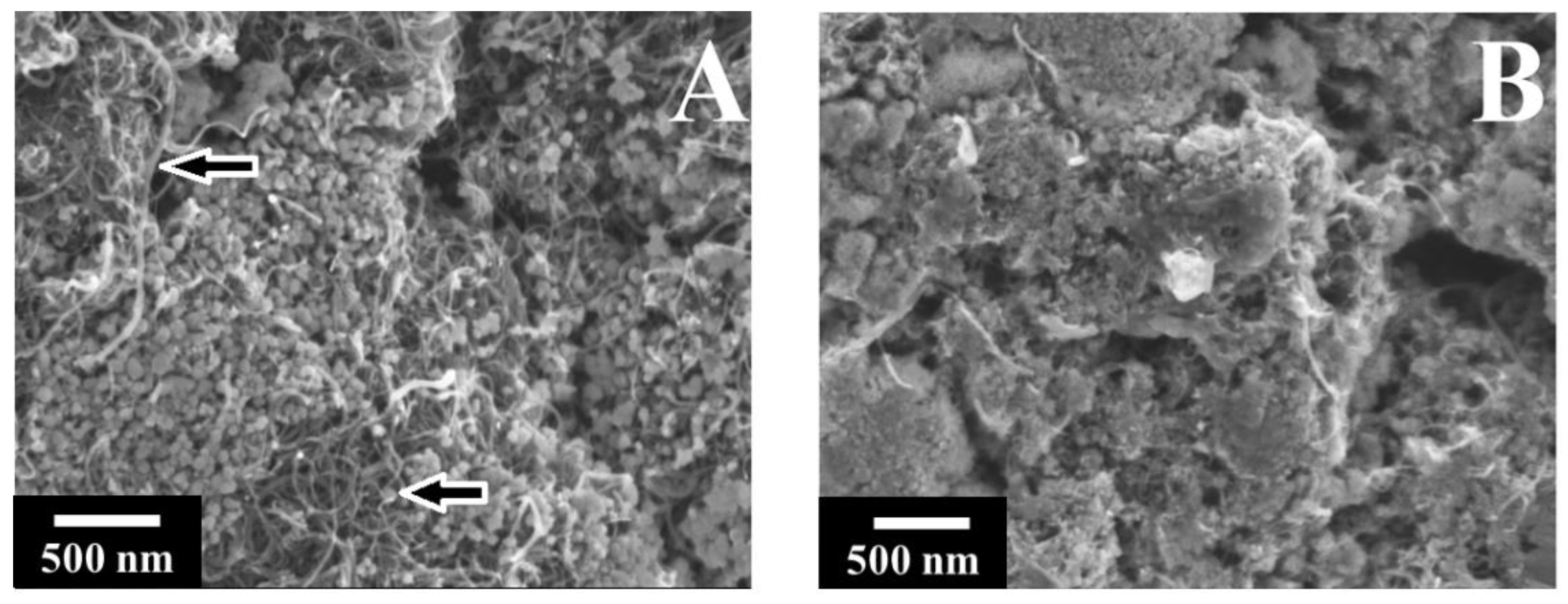 Nanomaterials 12 00803 g005