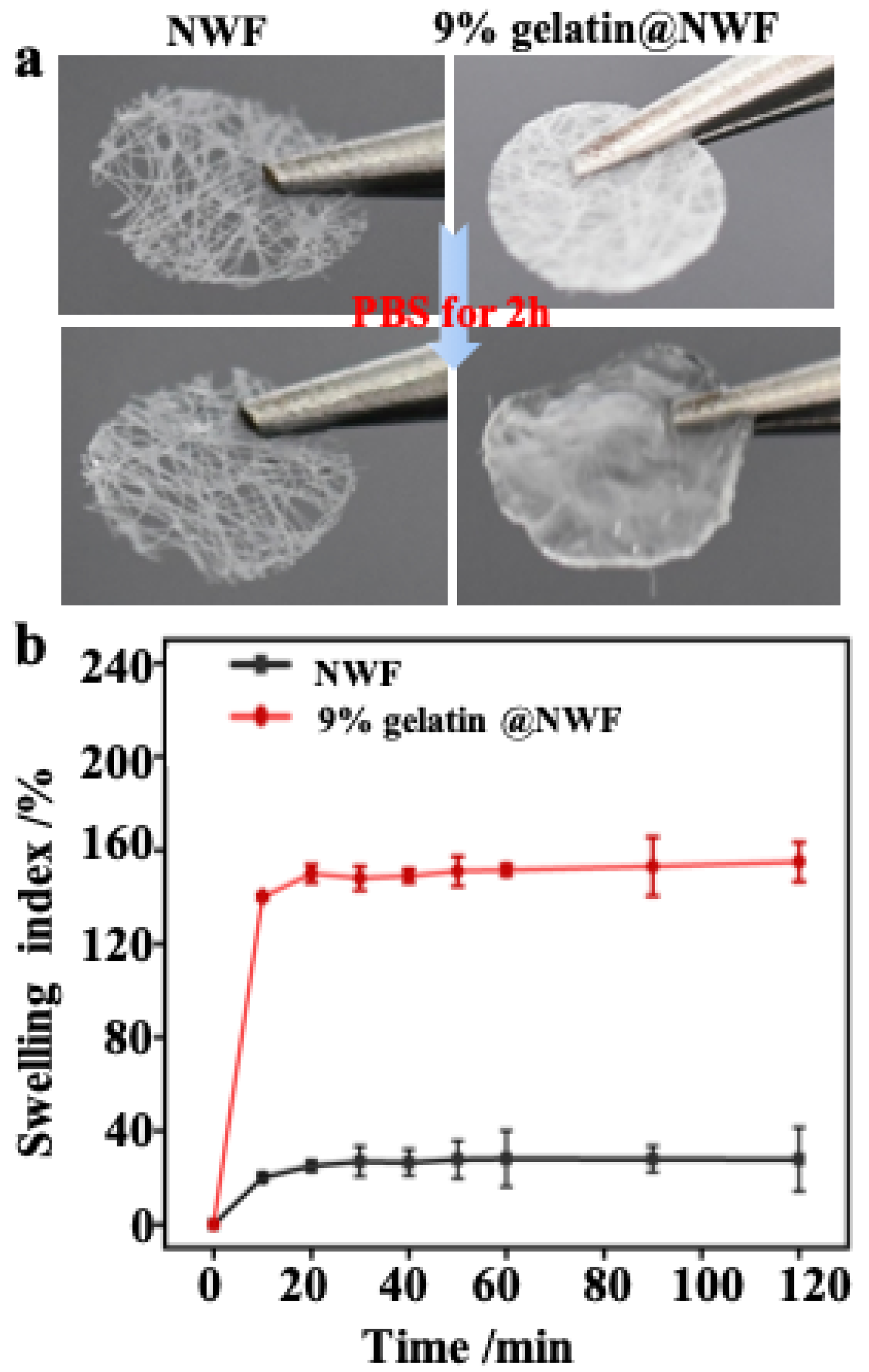 Nanomaterials 12 00808 g002