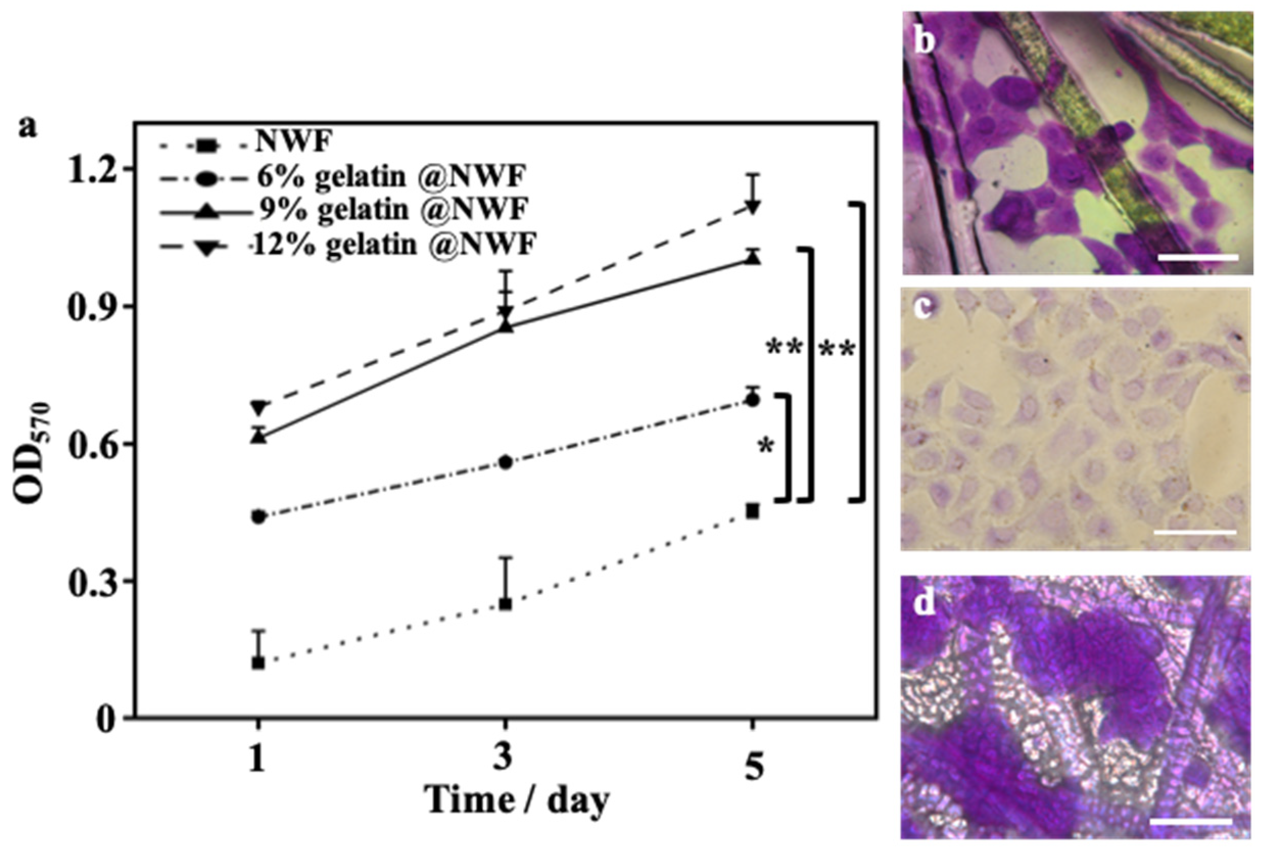 Nanomaterials 12 00808 g003