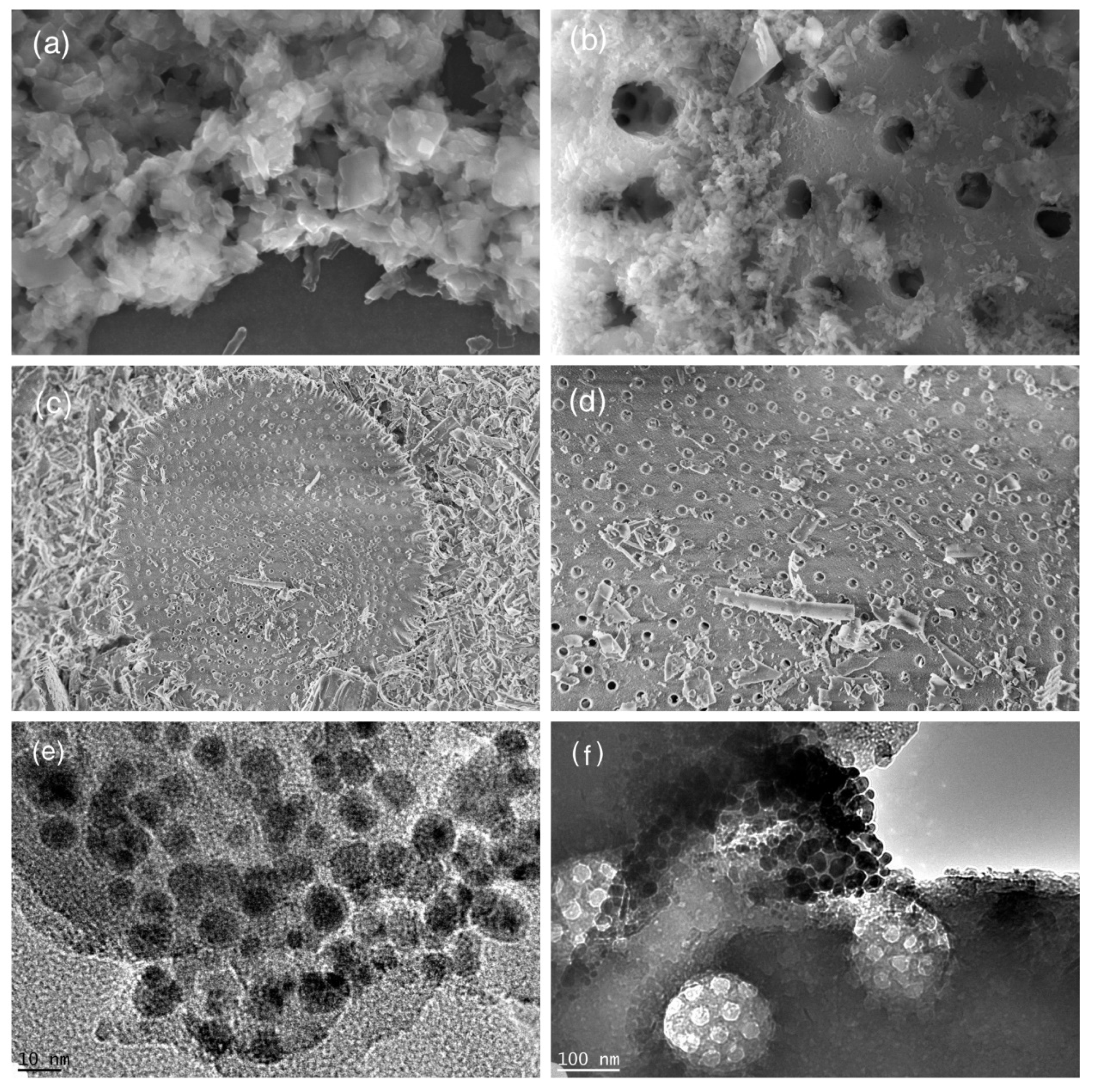 Nanomaterials 12 00811 g002 550