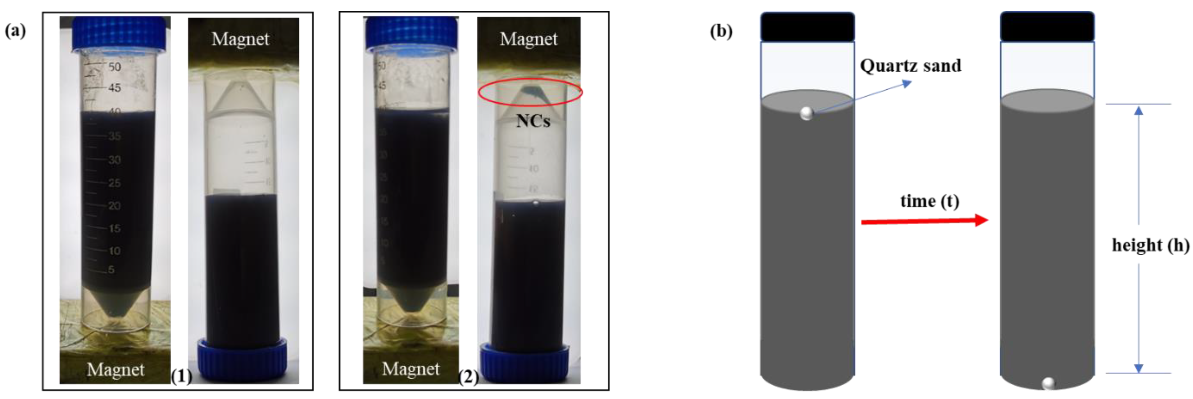 Nanomaterials 12 00812 g001 550