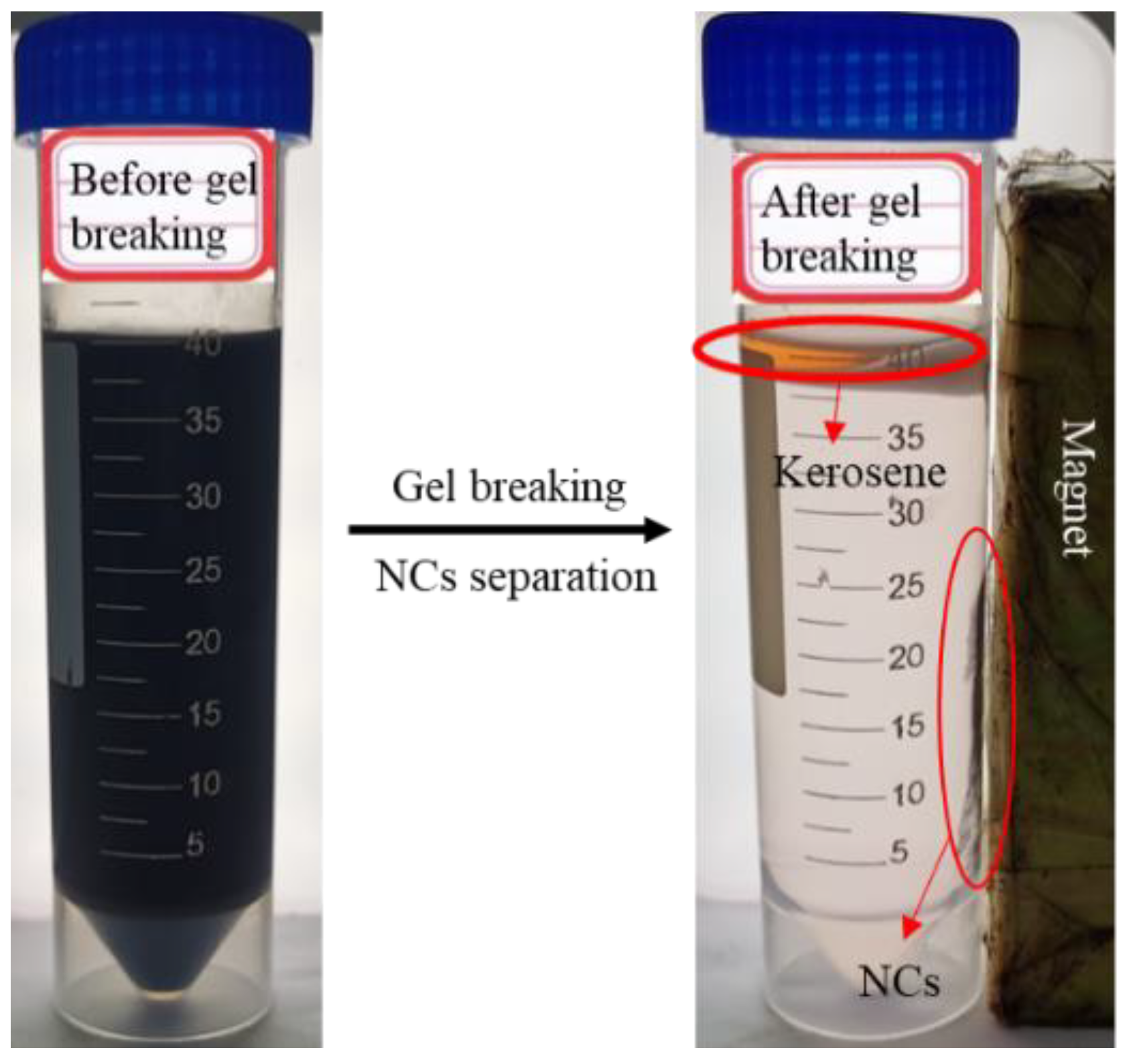 Nanomaterials 12 00812 g013 550