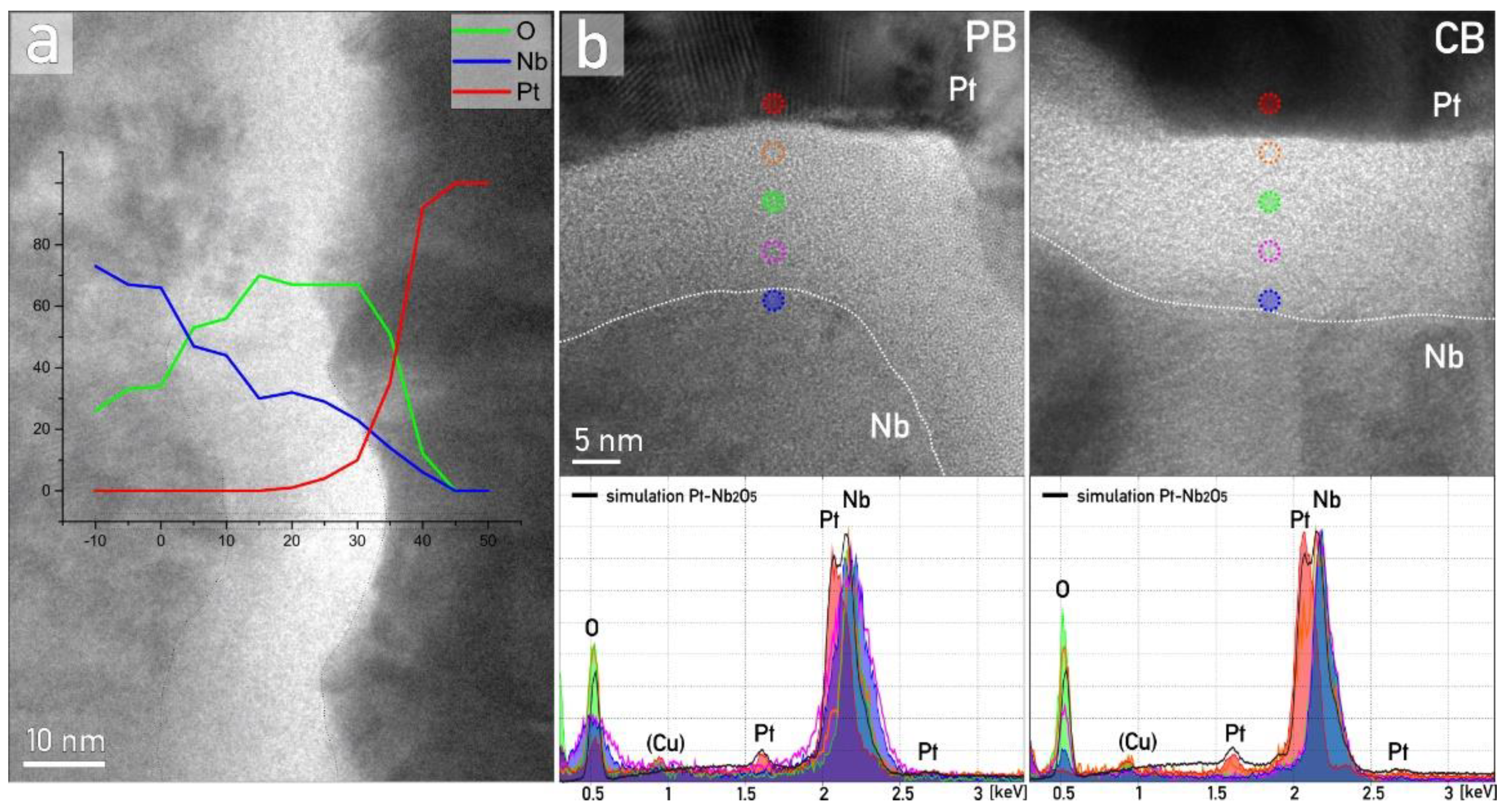 Nanomaterials 12 00813 g002 550