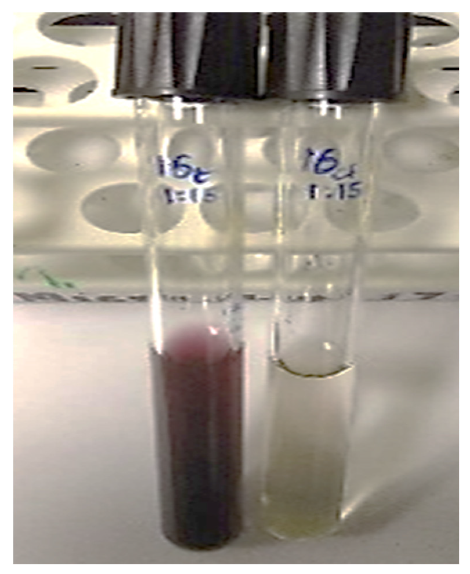 Nanomaterials 12 00814 g002