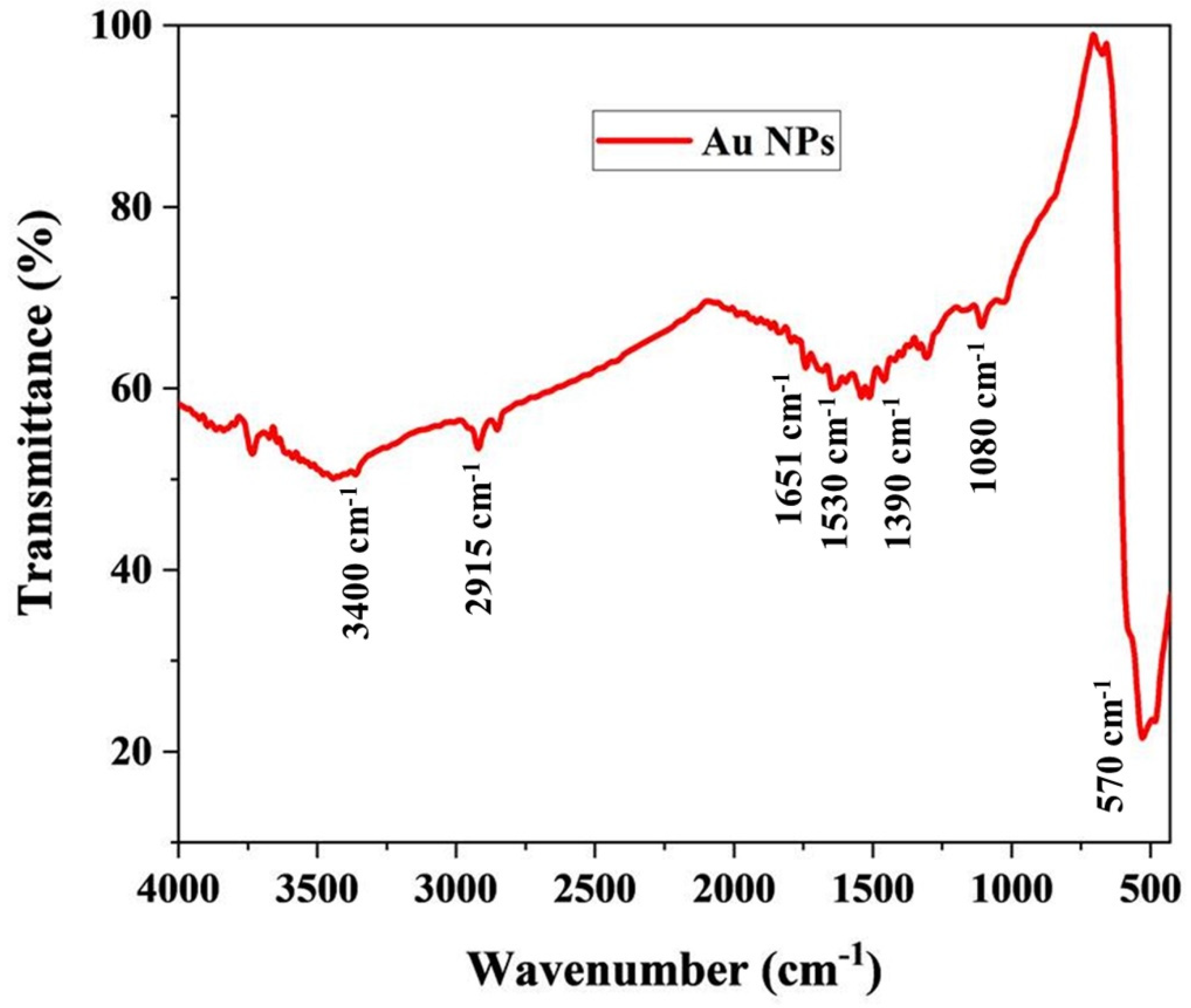 Nanomaterials 12 00814 g004