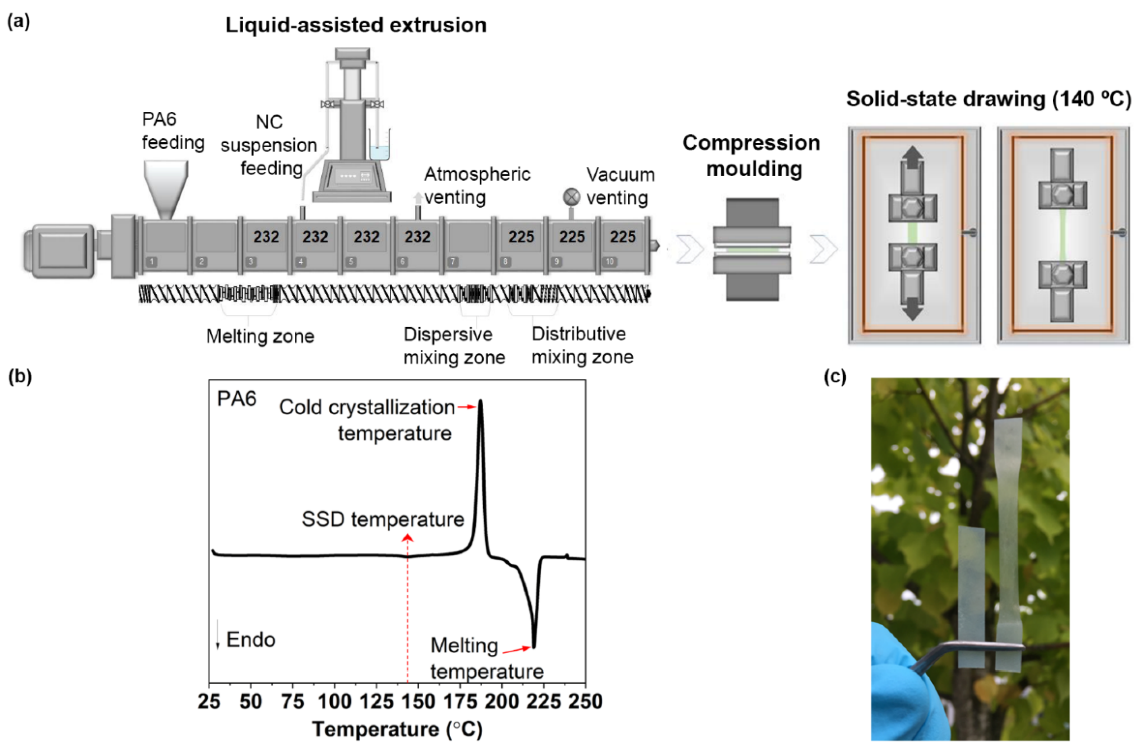 Nanomaterials 12 00818 g001