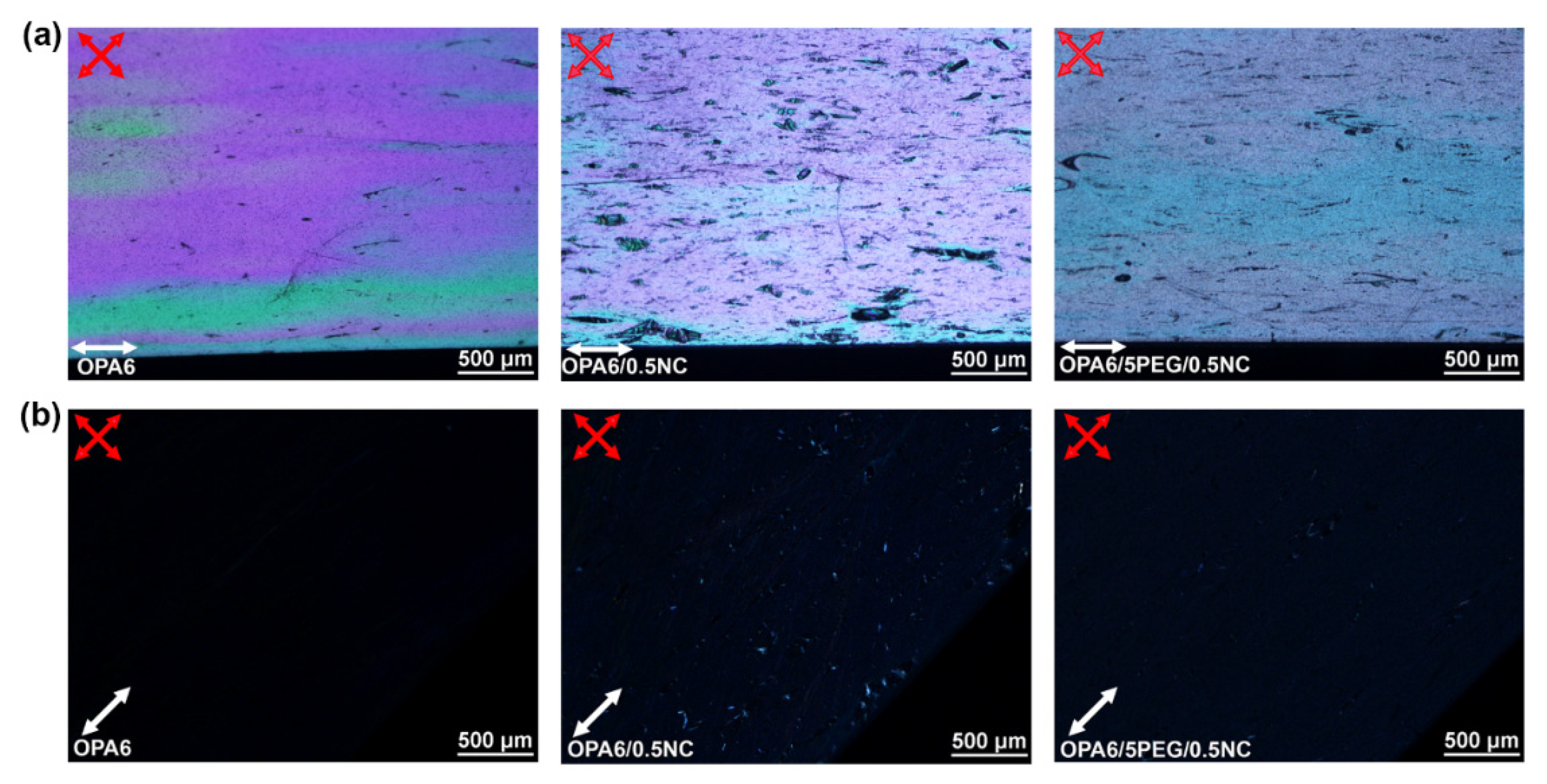 Nanomaterials 12 00818 g004
