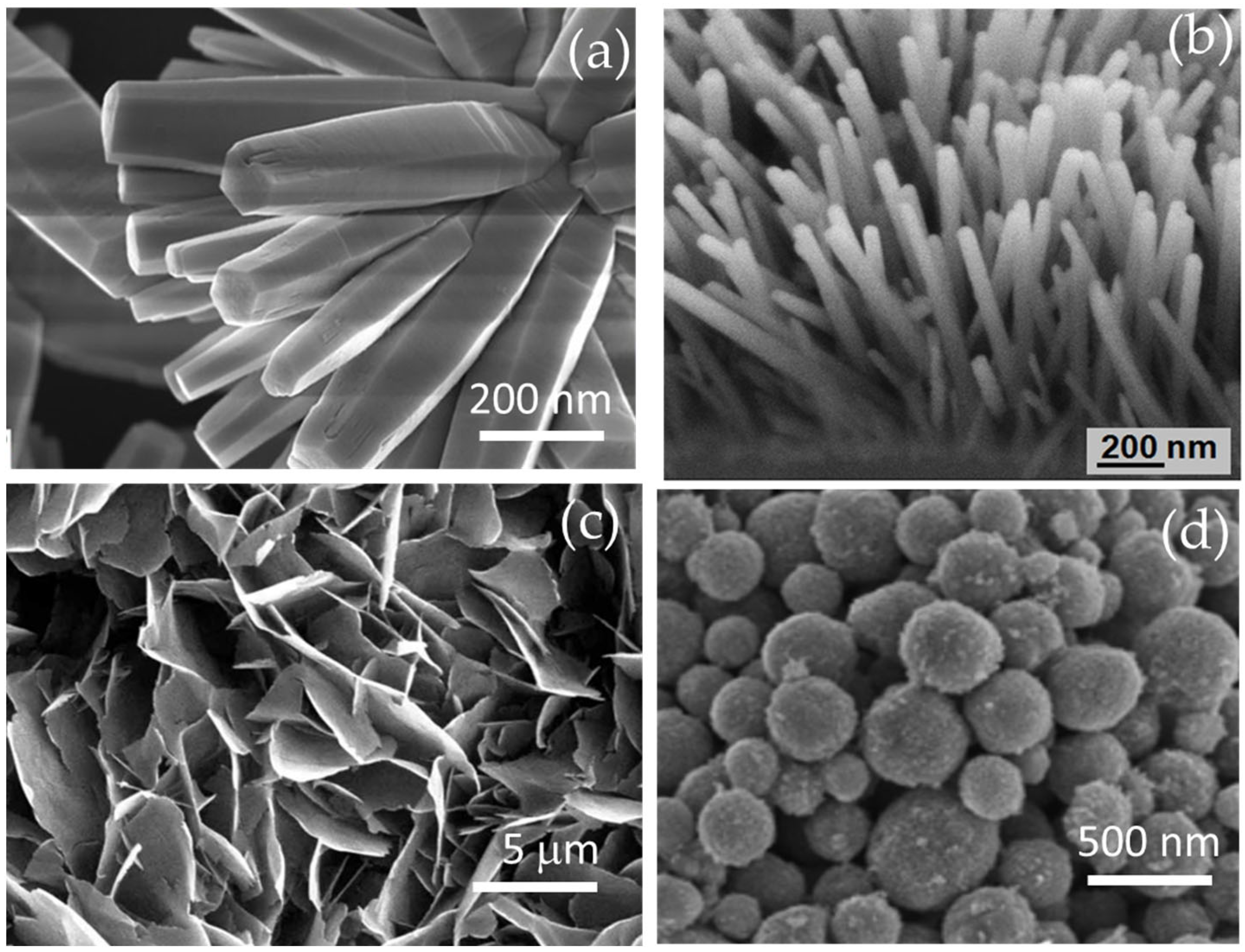 Nanomaterials 12 00825 g004