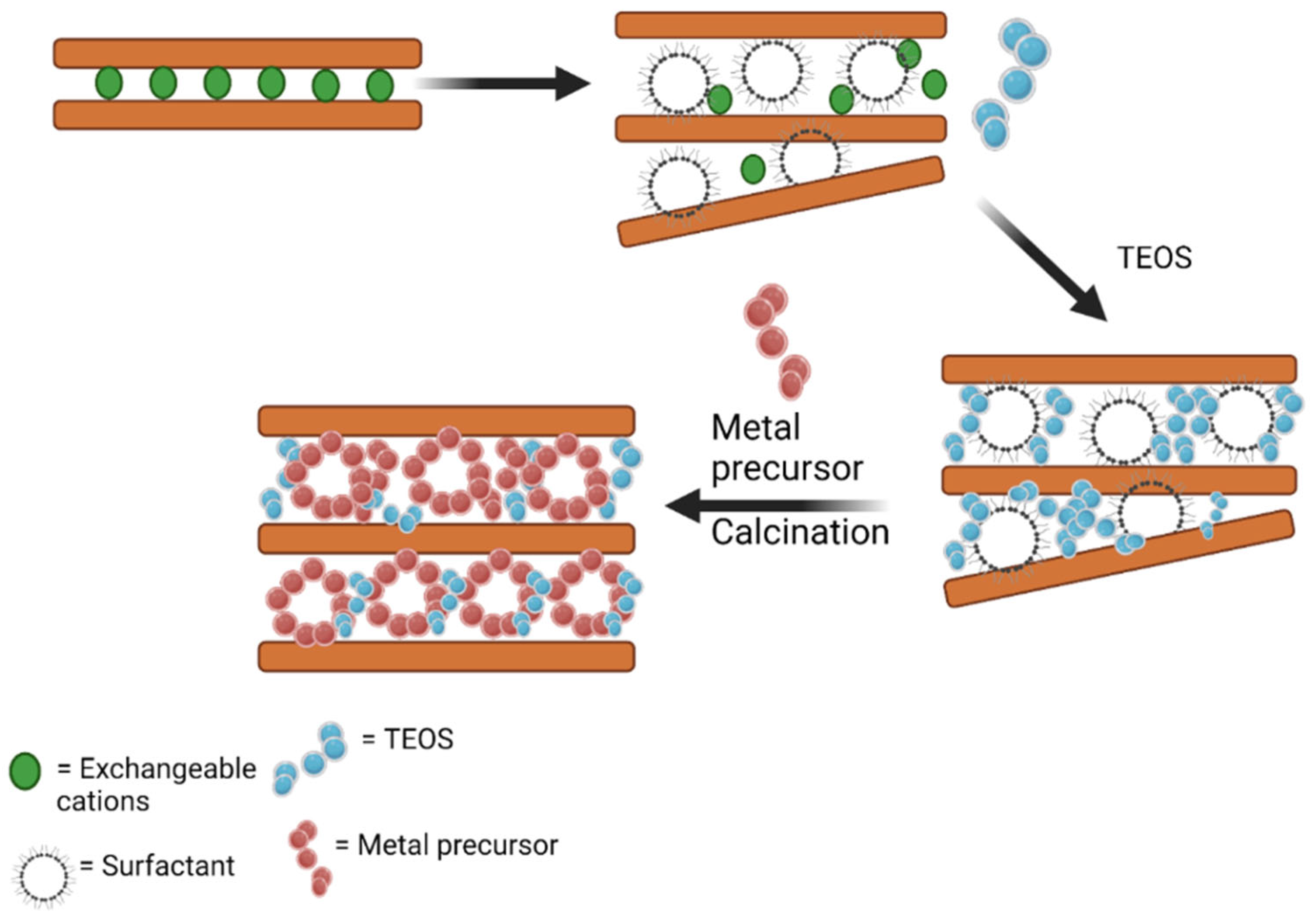 Nanomaterials 12 00825 g011