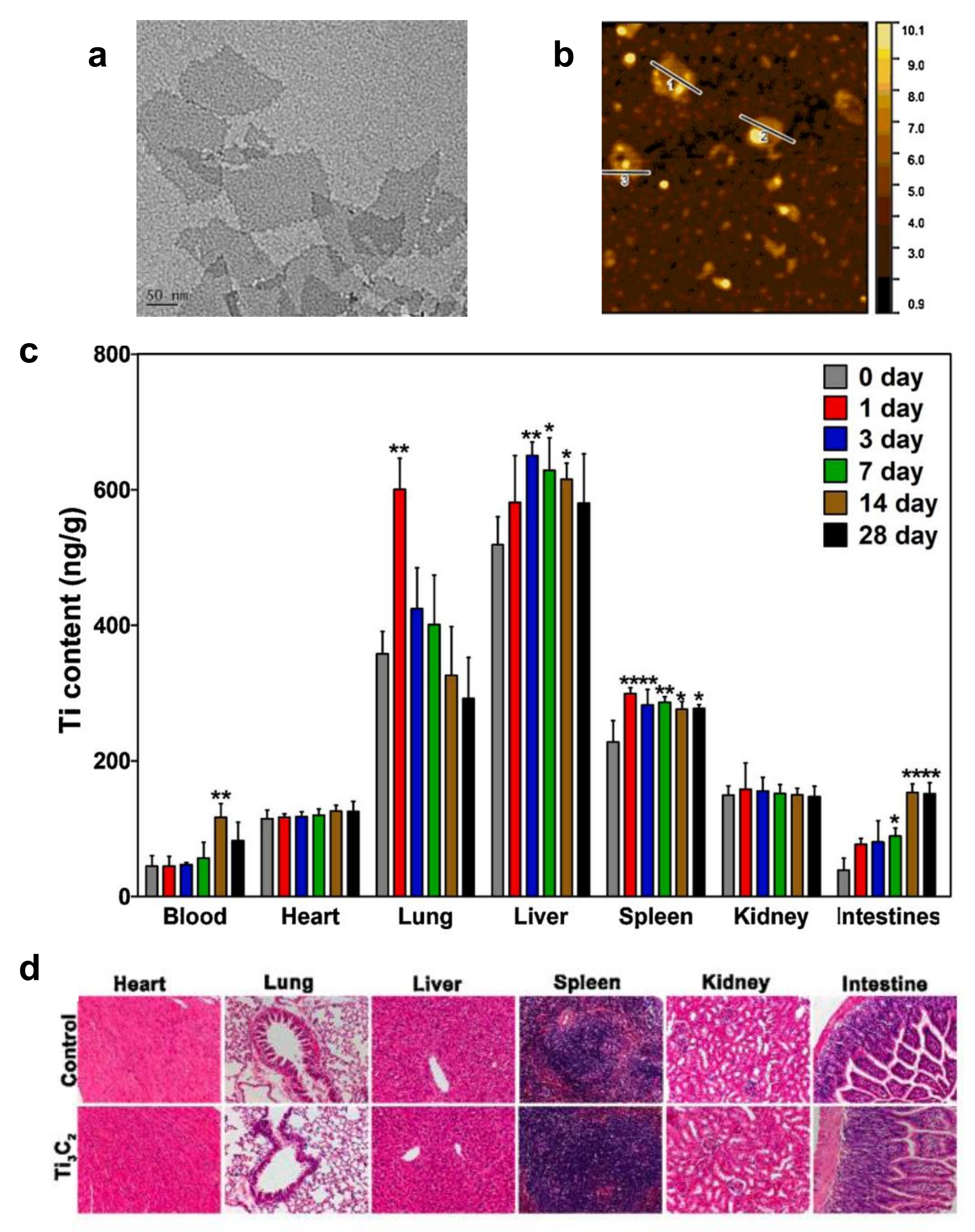 Nanomaterials 12 00828 g004