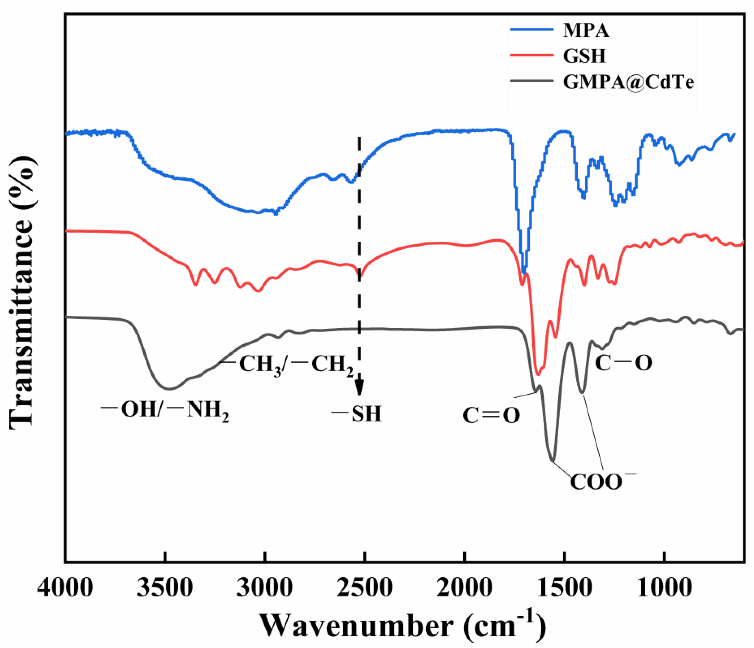 Nanomaterials 12 00829 g003 Nanomaterials 12 00829 g003