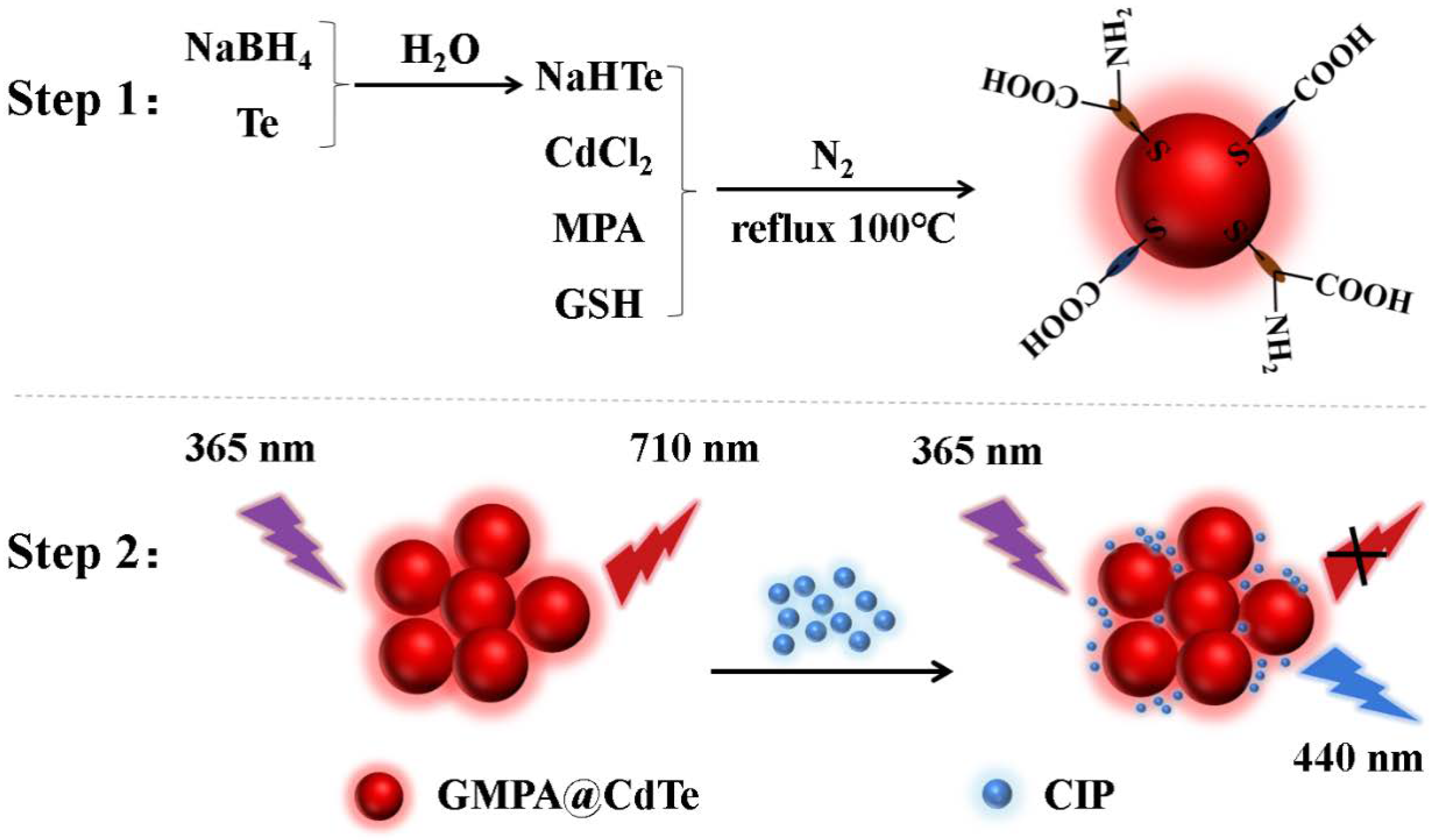 Nanomaterials 12 00829 sch001 Nanomaterials 12 00829 sch001