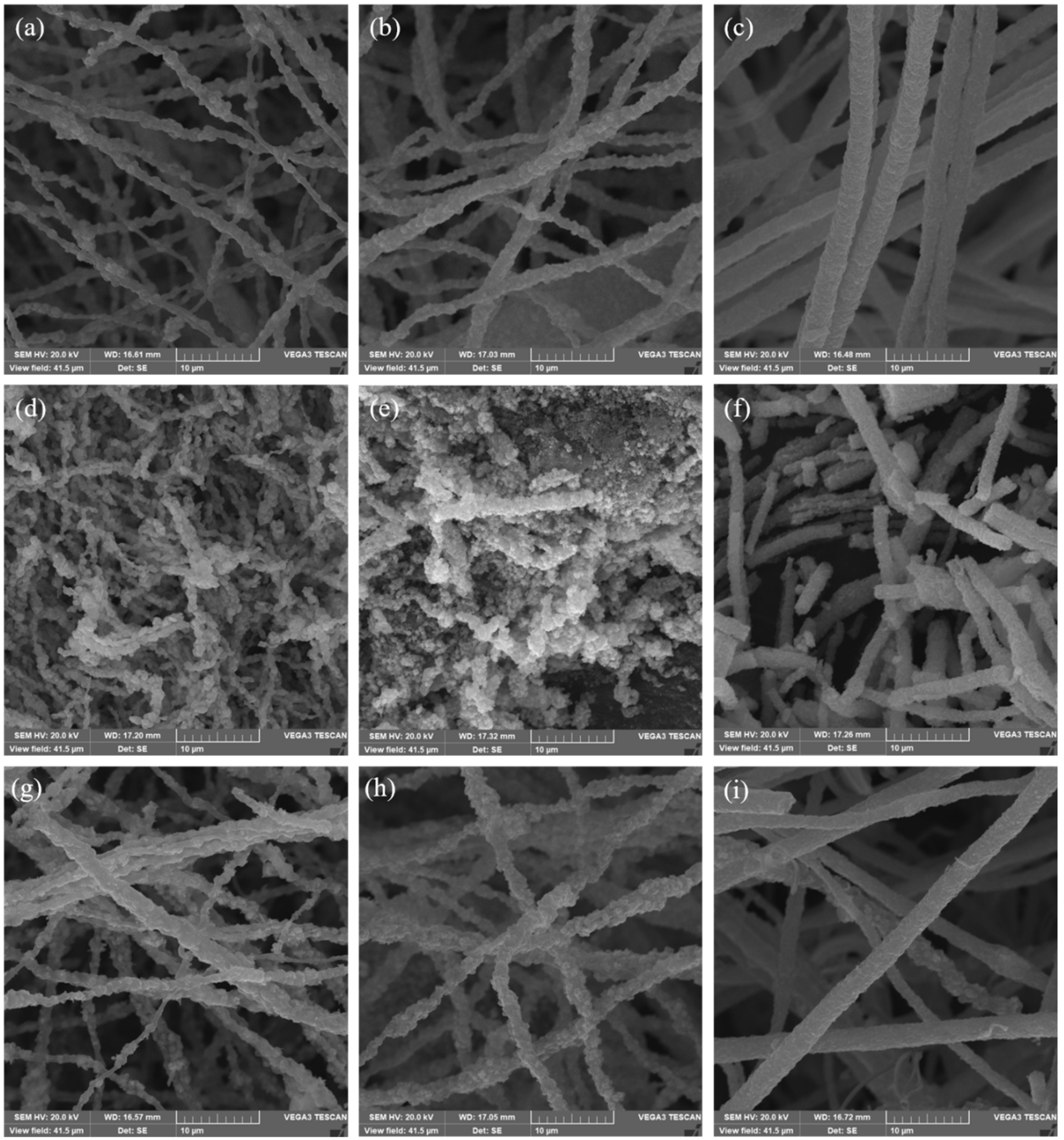 Nanomaterials 12 00832 g004