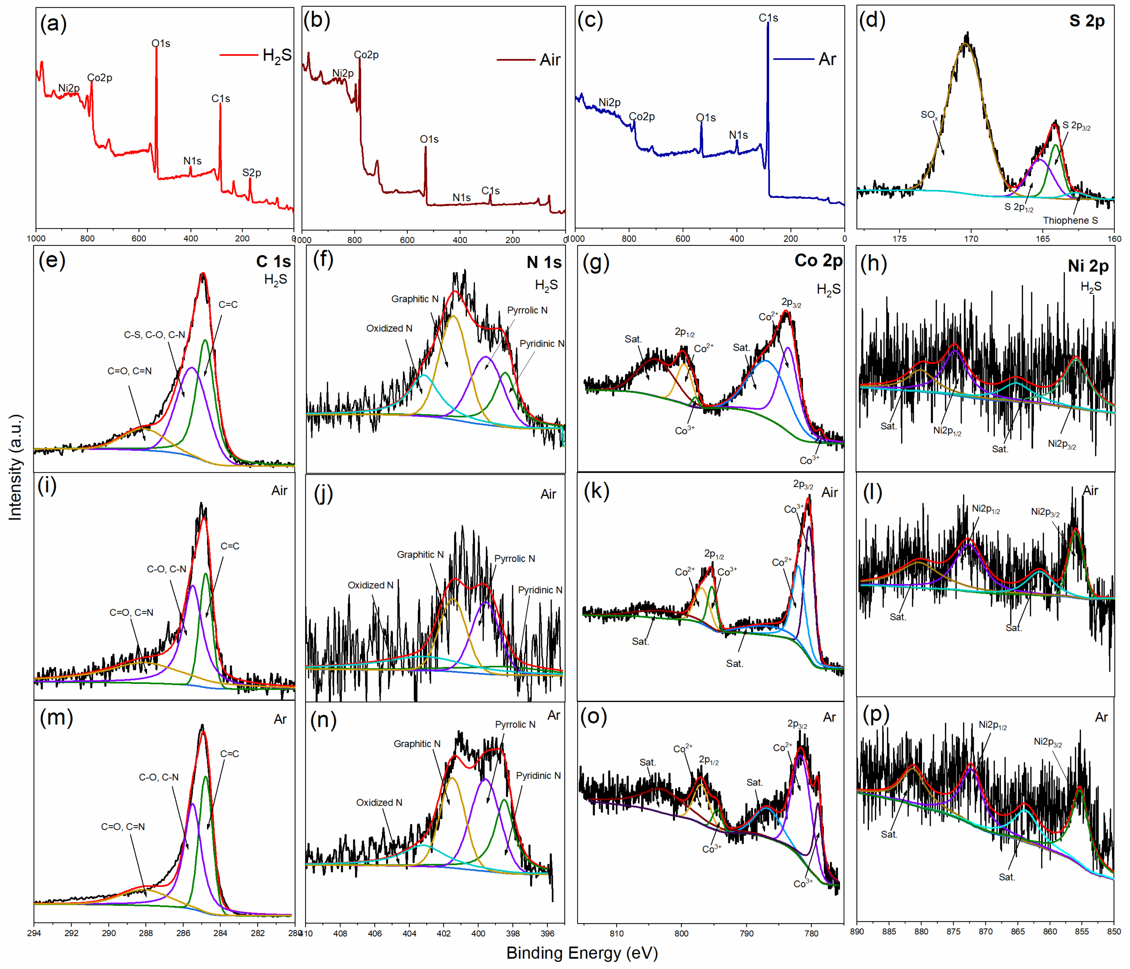 Nanomaterials 12 00832 g008
