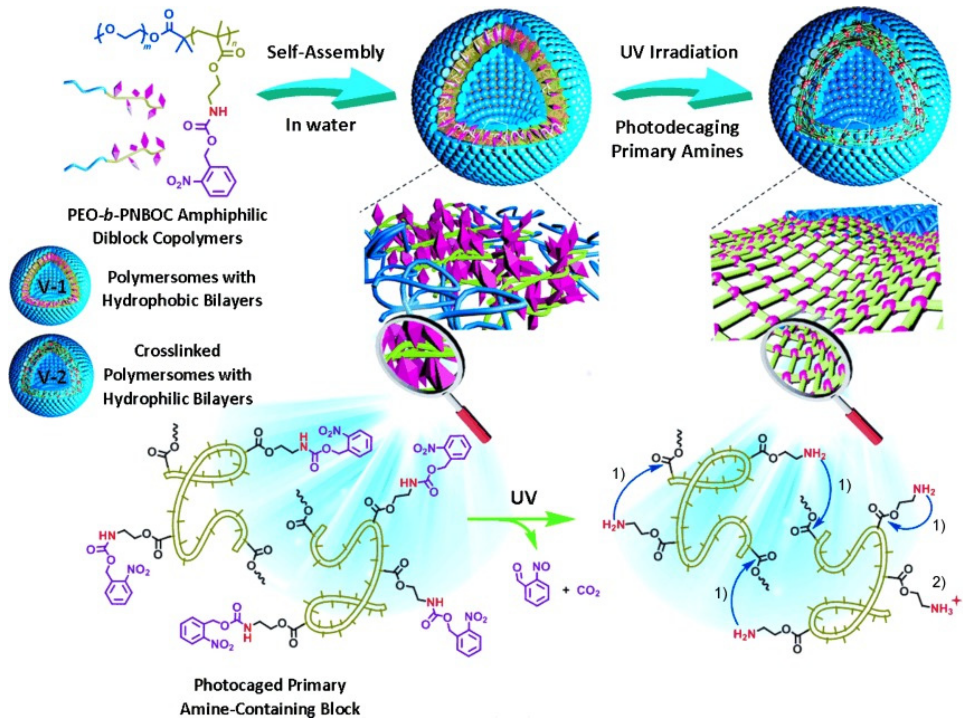 Nanomaterials 12 00836 g007 Nanomaterials 12 00836 g007