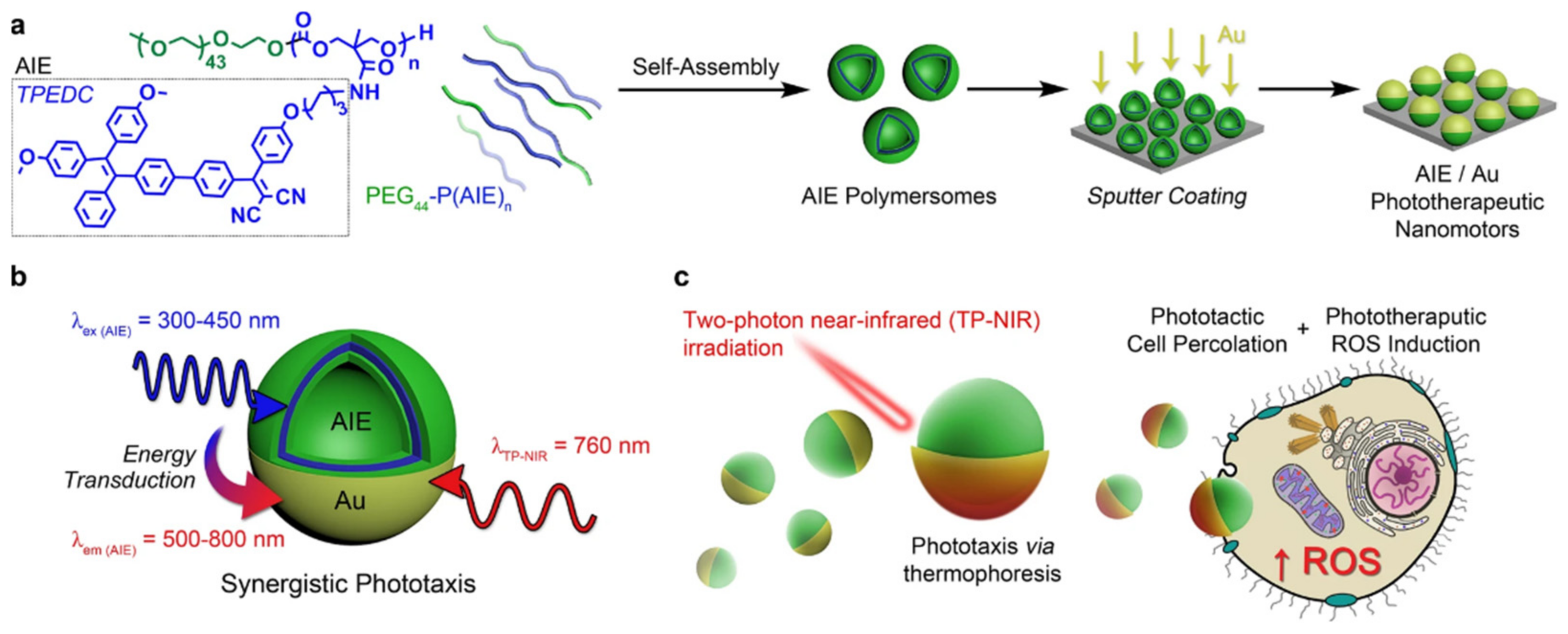Nanomaterials 12 00836 g013 Nanomaterials 12 00836 g013