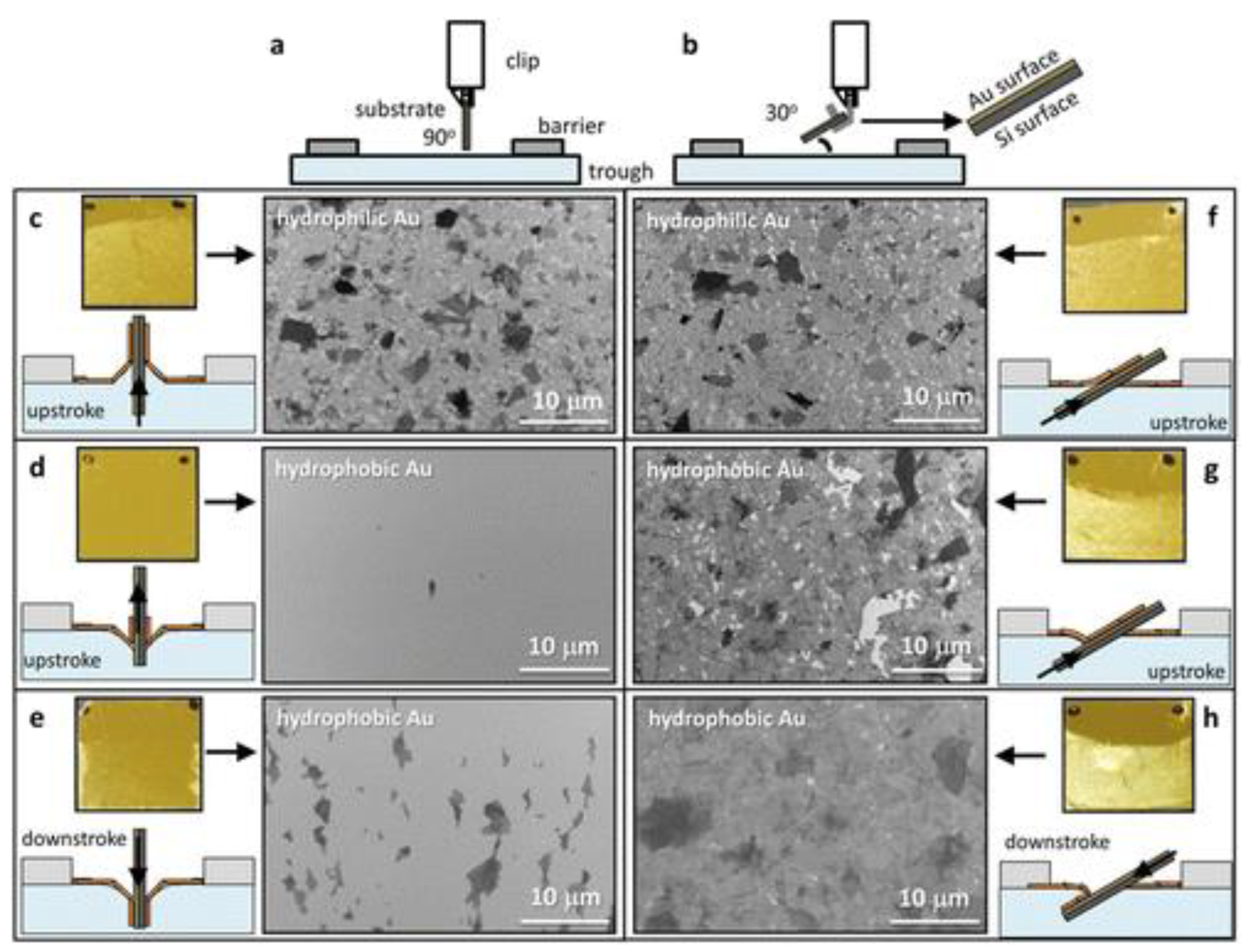 Nanomaterials 12 00840 g003