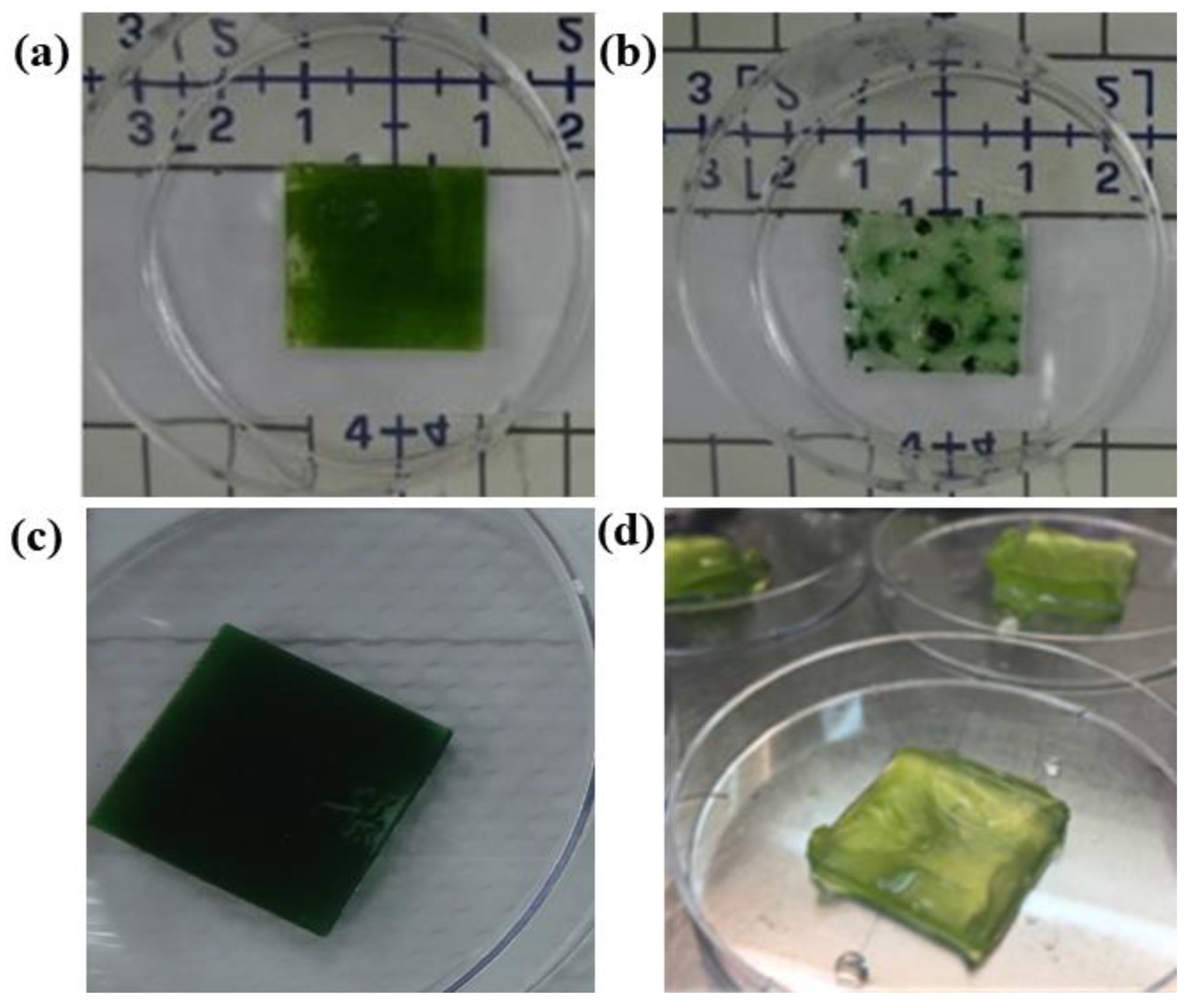 Nanomaterials 12 00840 g005