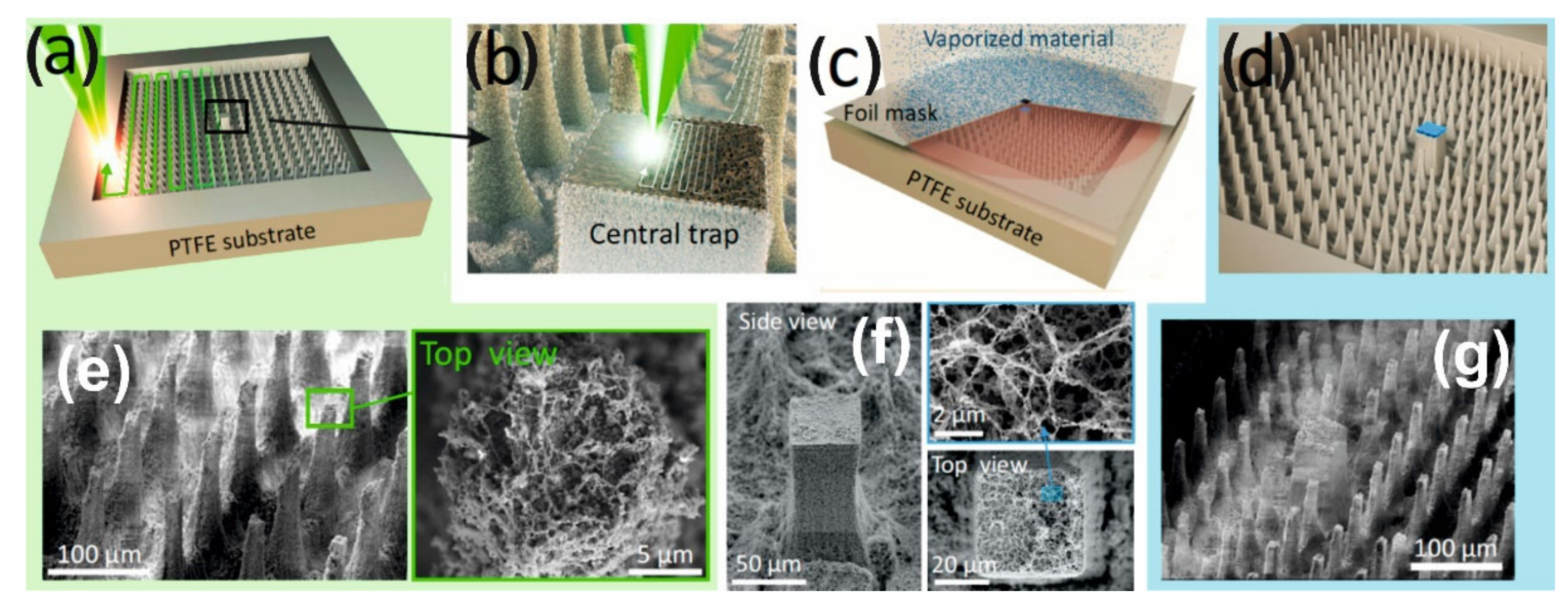 Nanomaterials 12 00844 g001 550