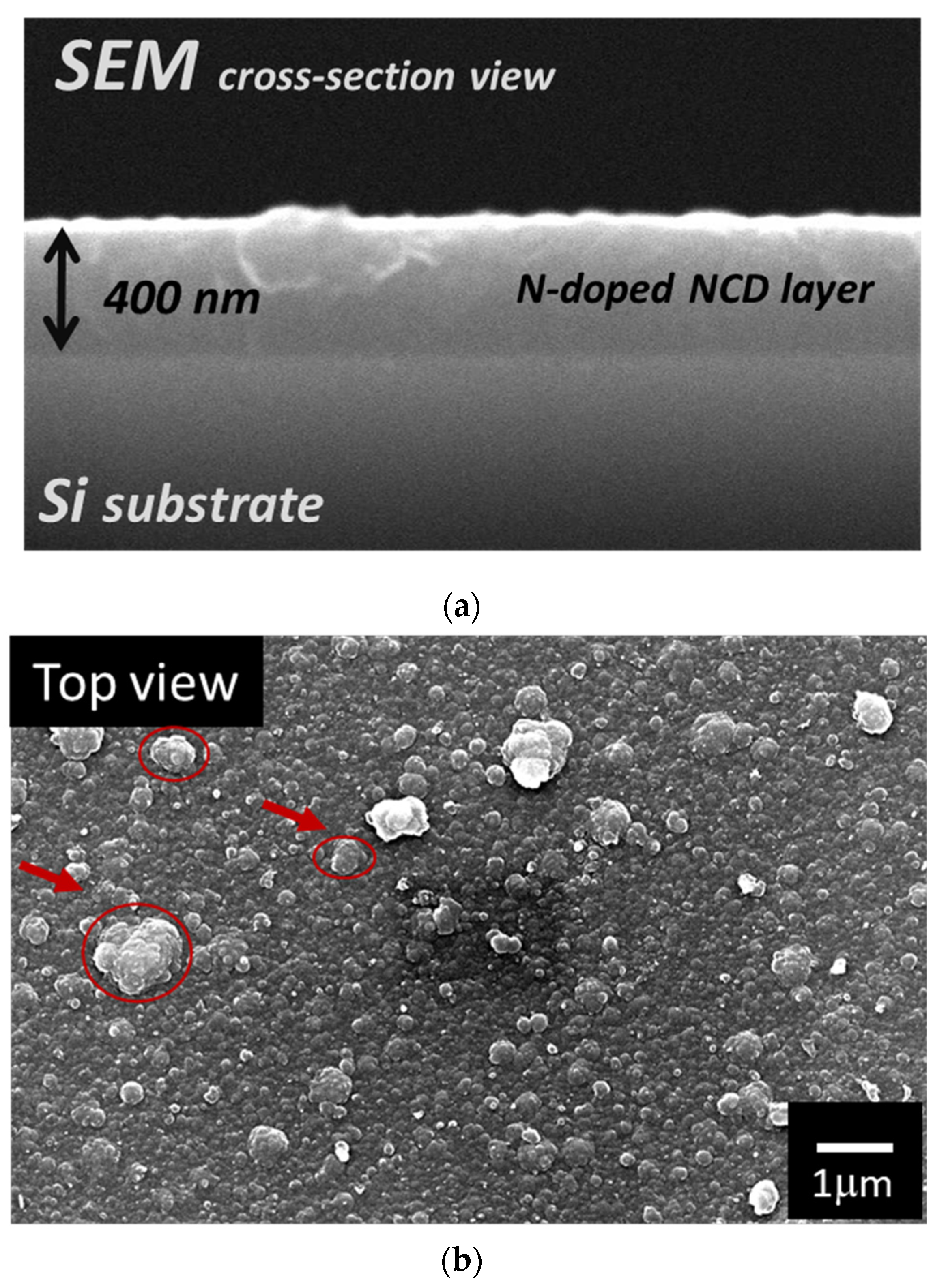 Nanomaterials 12 00854 g002a