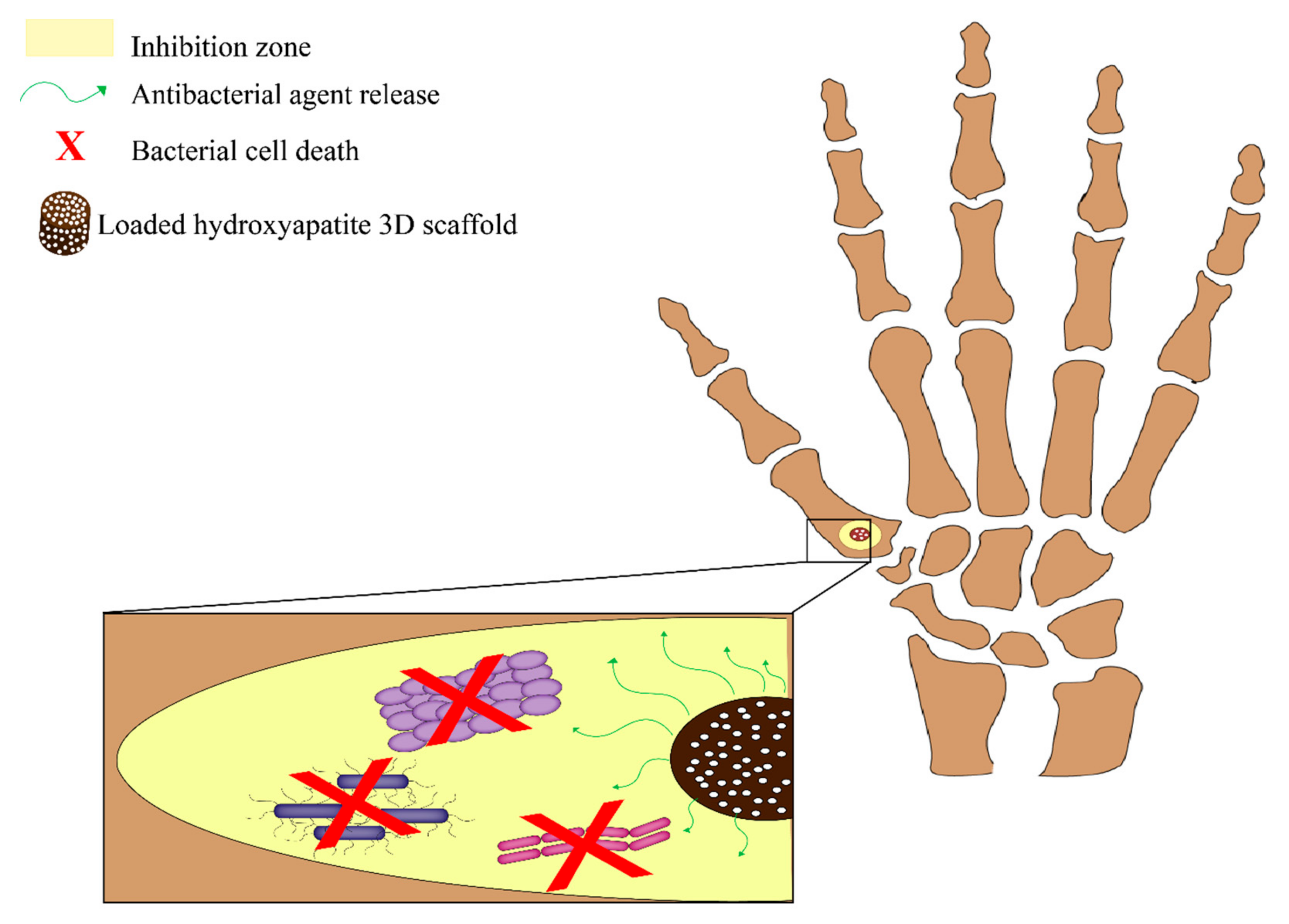 Nanomaterials 12 00856 g006 Nanomaterials 12 00856 g006