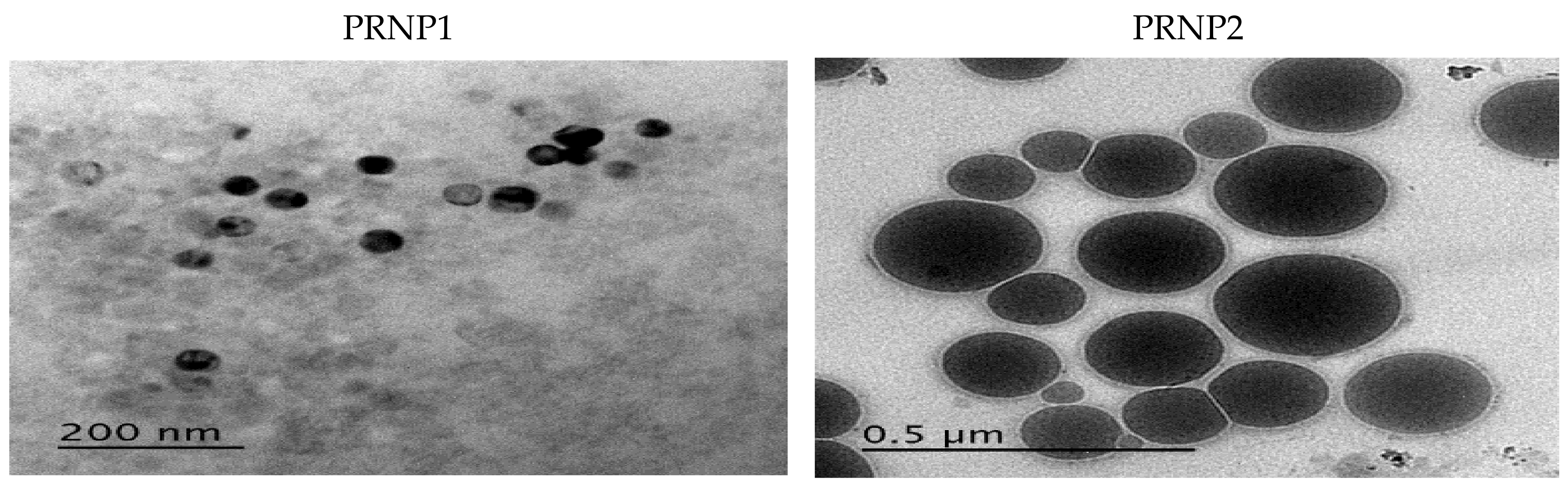 Nanomaterials 12 00857 g004