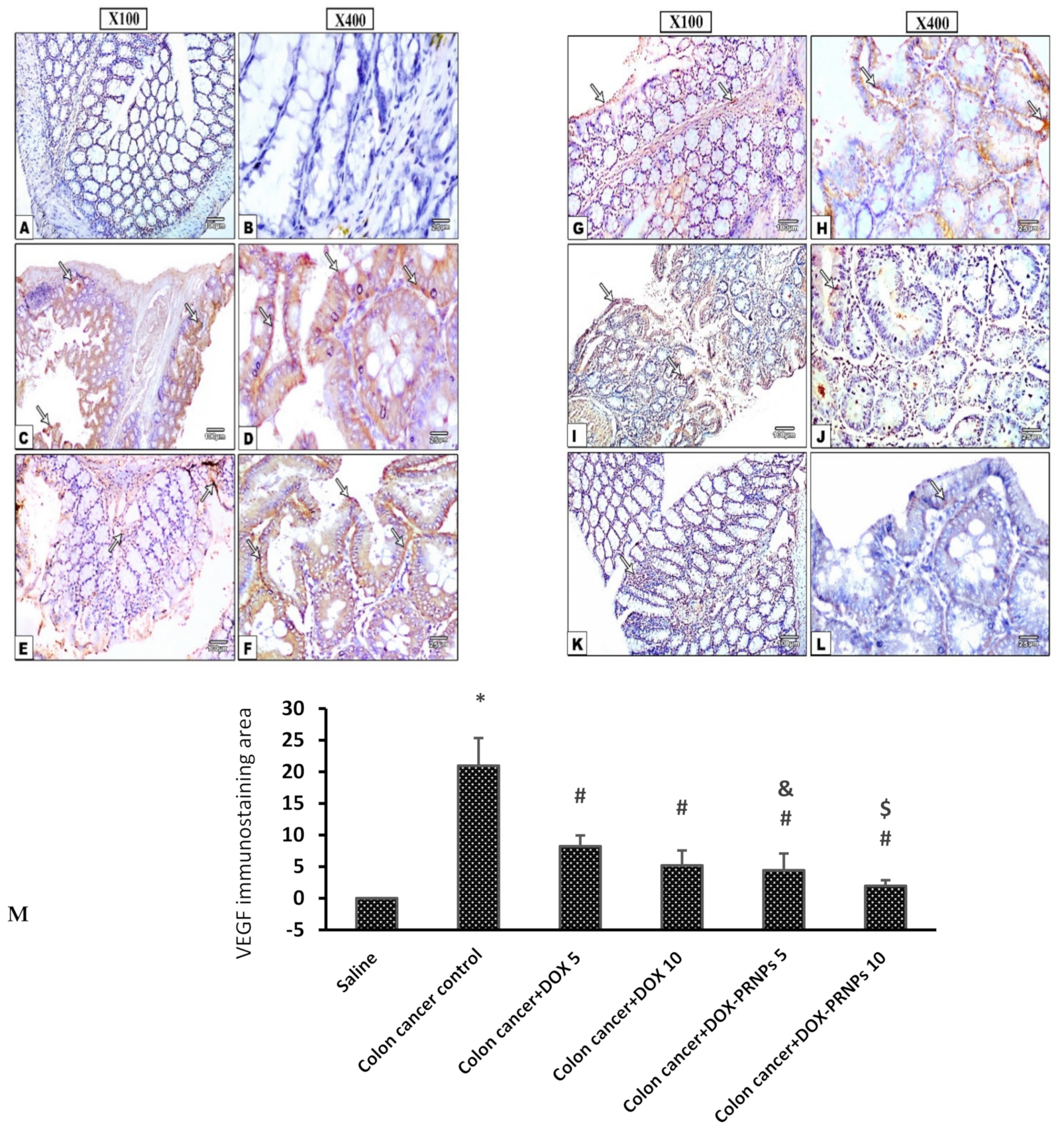 Nanomaterials 12 00857 g009