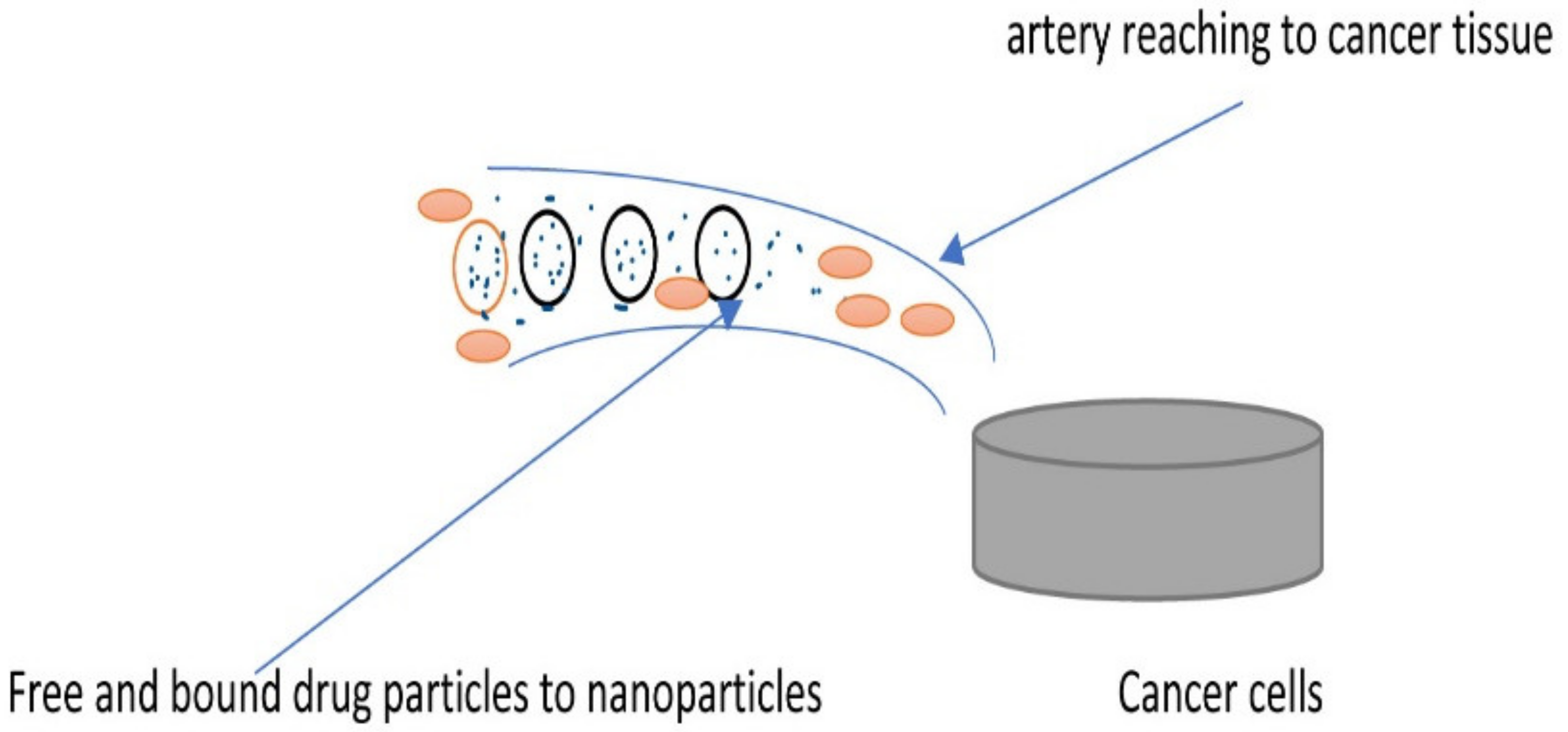 Nanomaterials 12 00857 g012