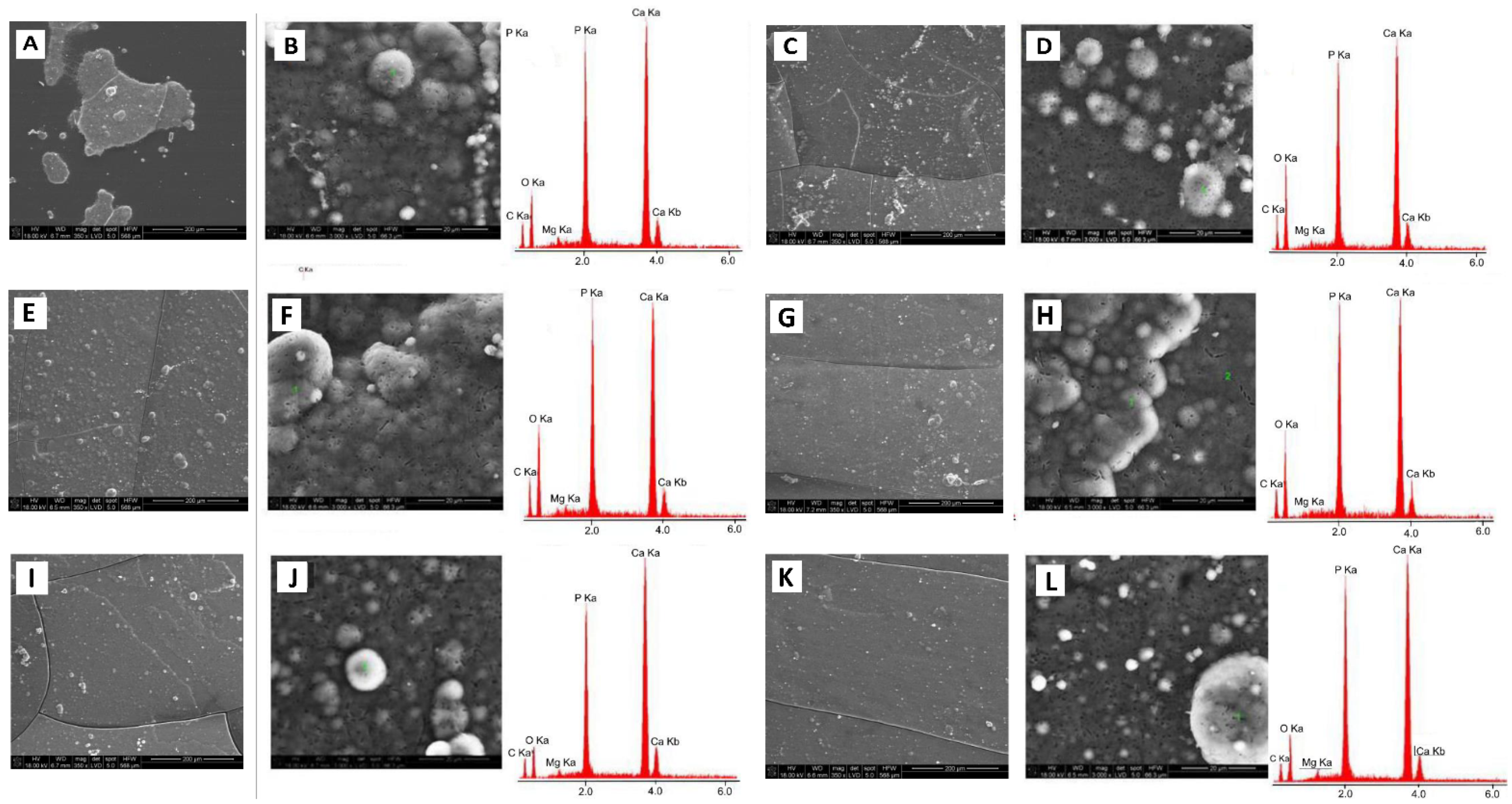 Nanomaterials 12 00858 g013