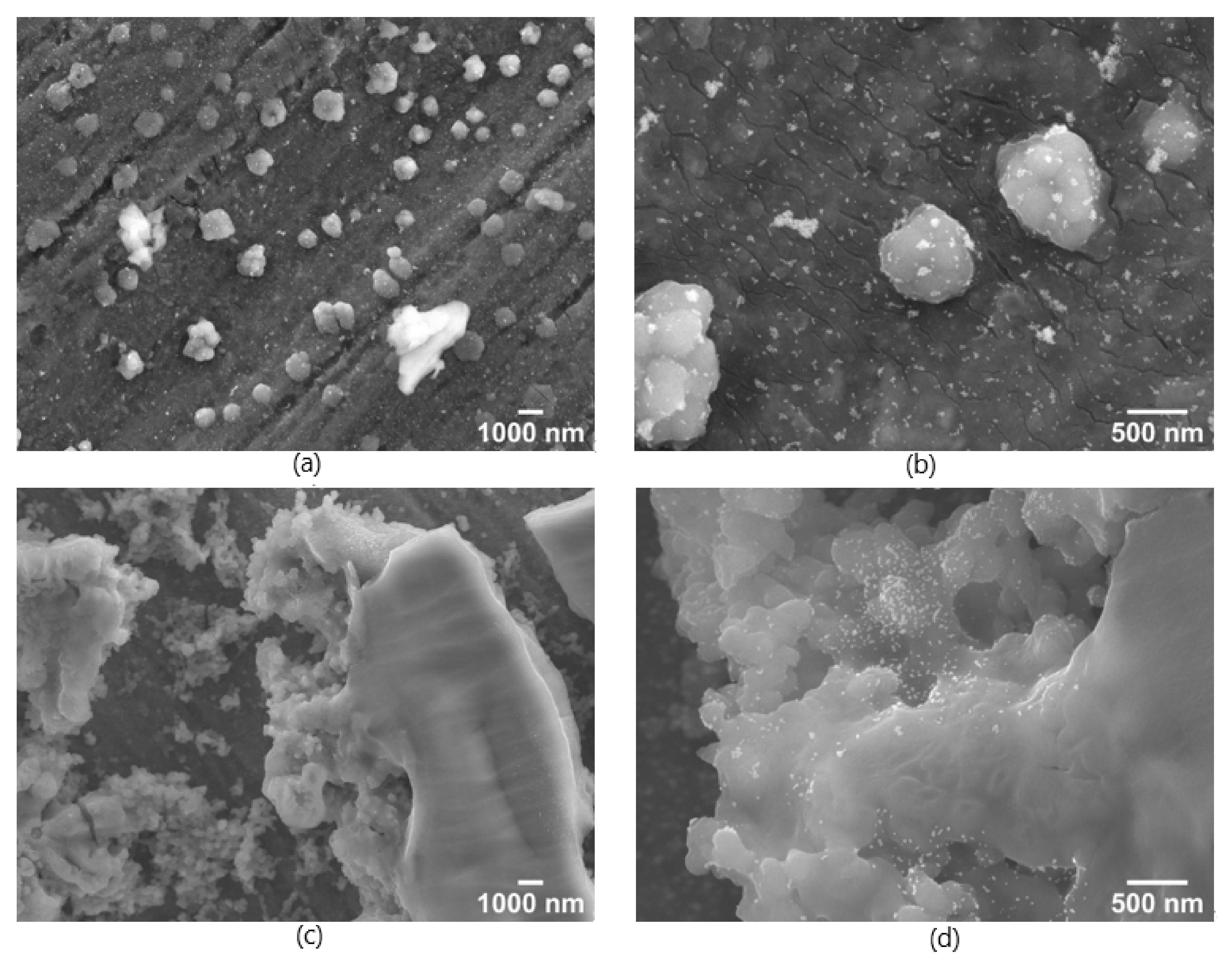 Nanomaterials 12 00860 g002
