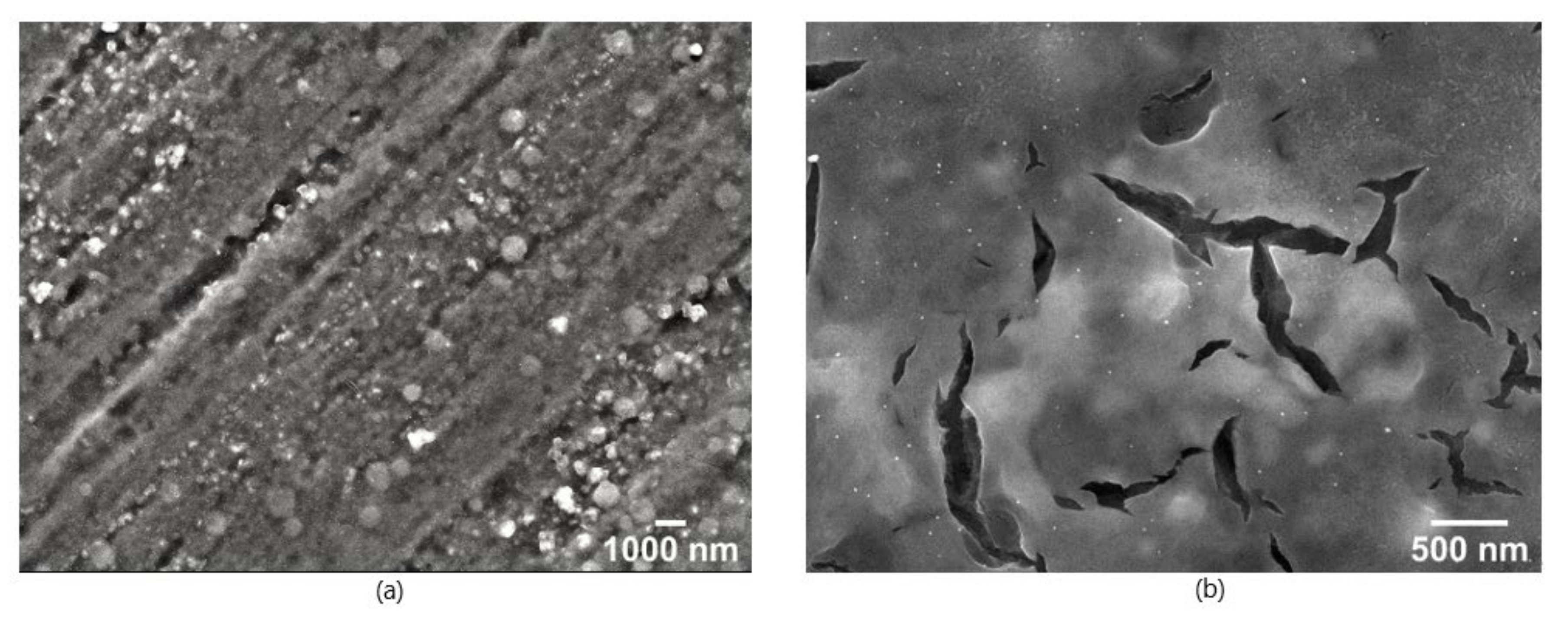Nanomaterials 12 00860 g004