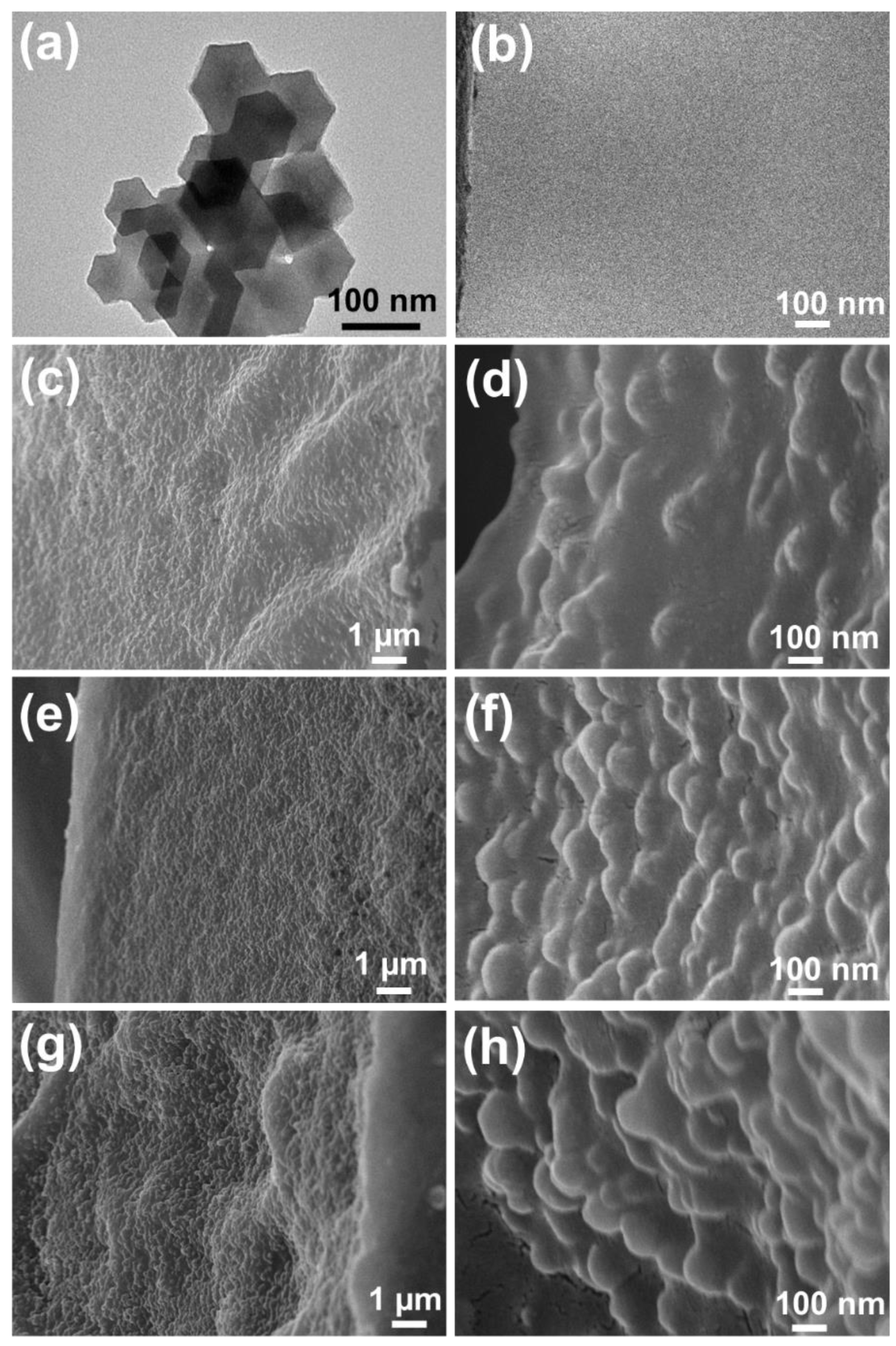 Nanomaterials 12 00865 g001 550