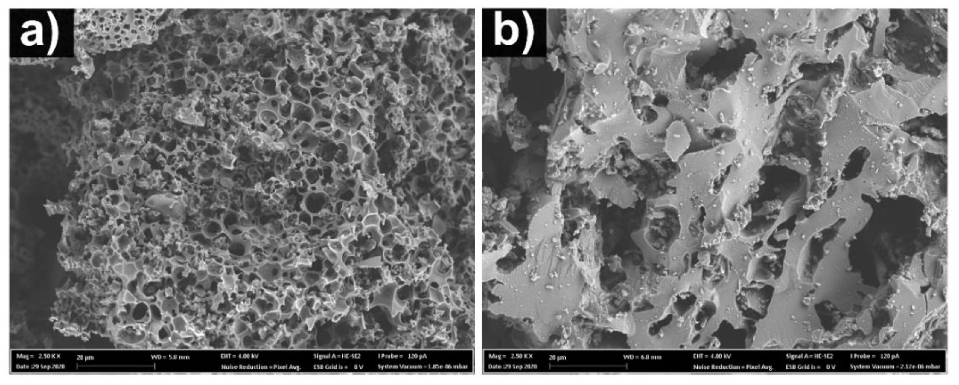 Nanomaterials 12 00866 g003