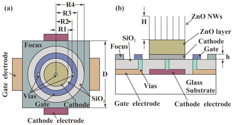 Nanomaterials 12 00870 g001