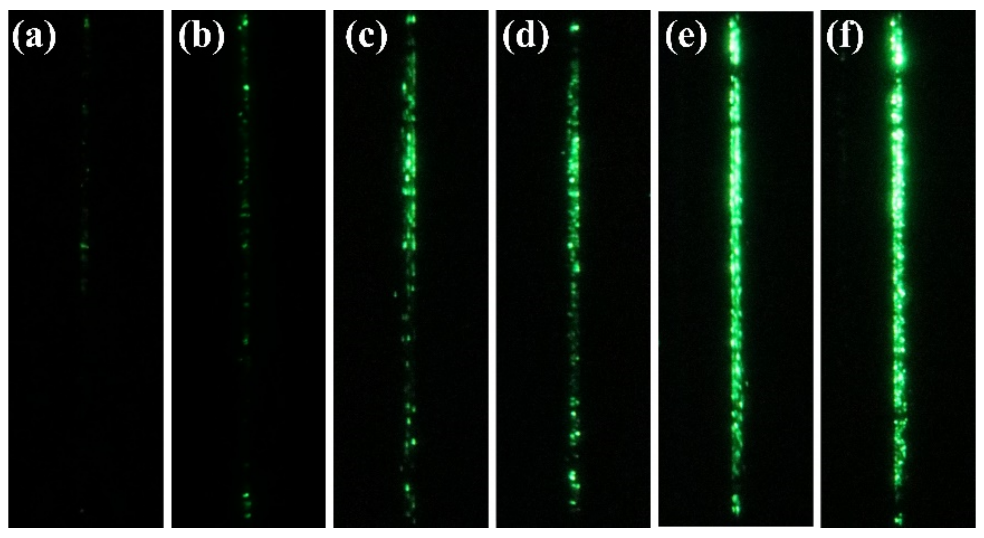 Nanomaterials 12 00870 g007
