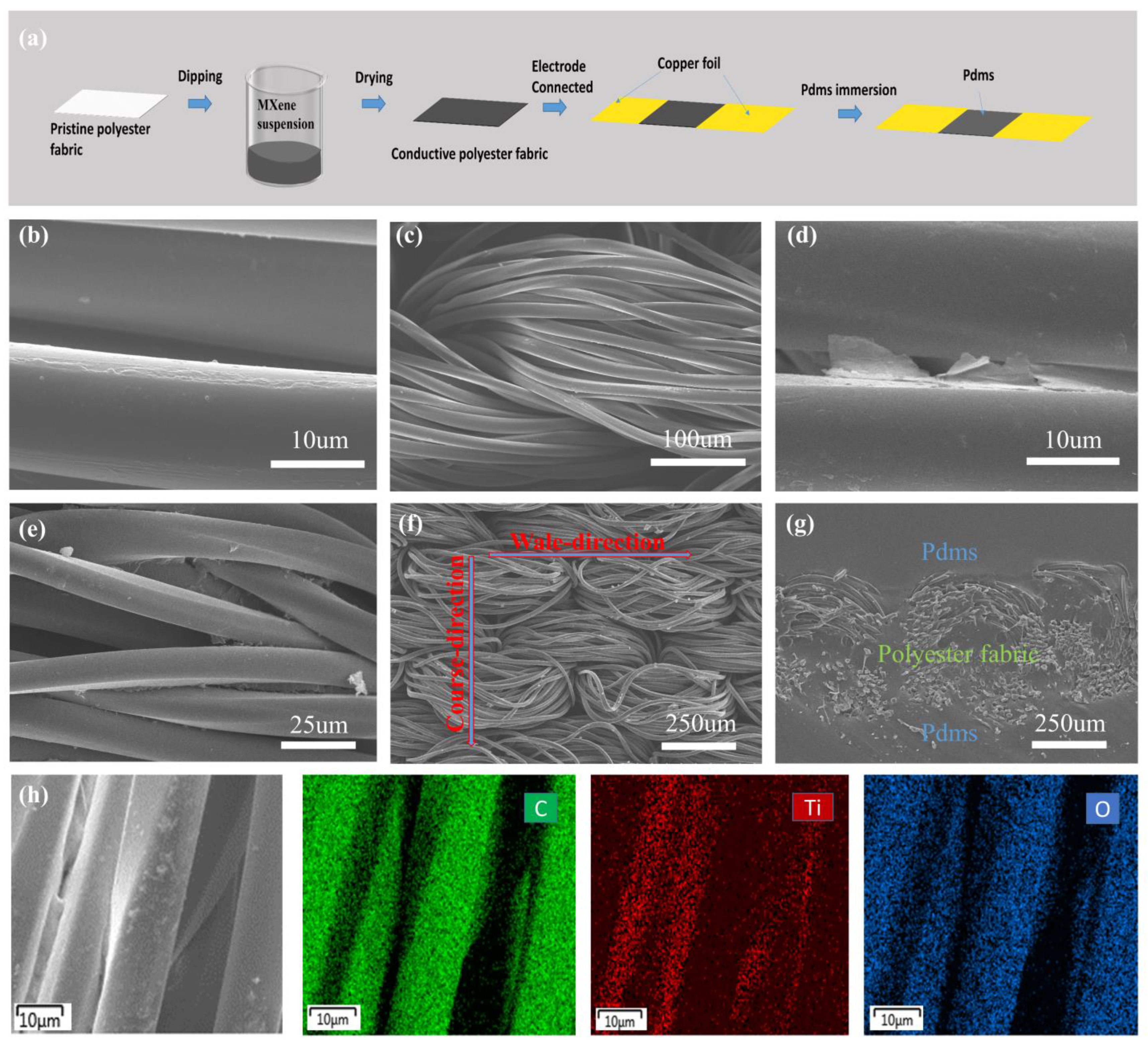Nanomaterials 12 00871 g002