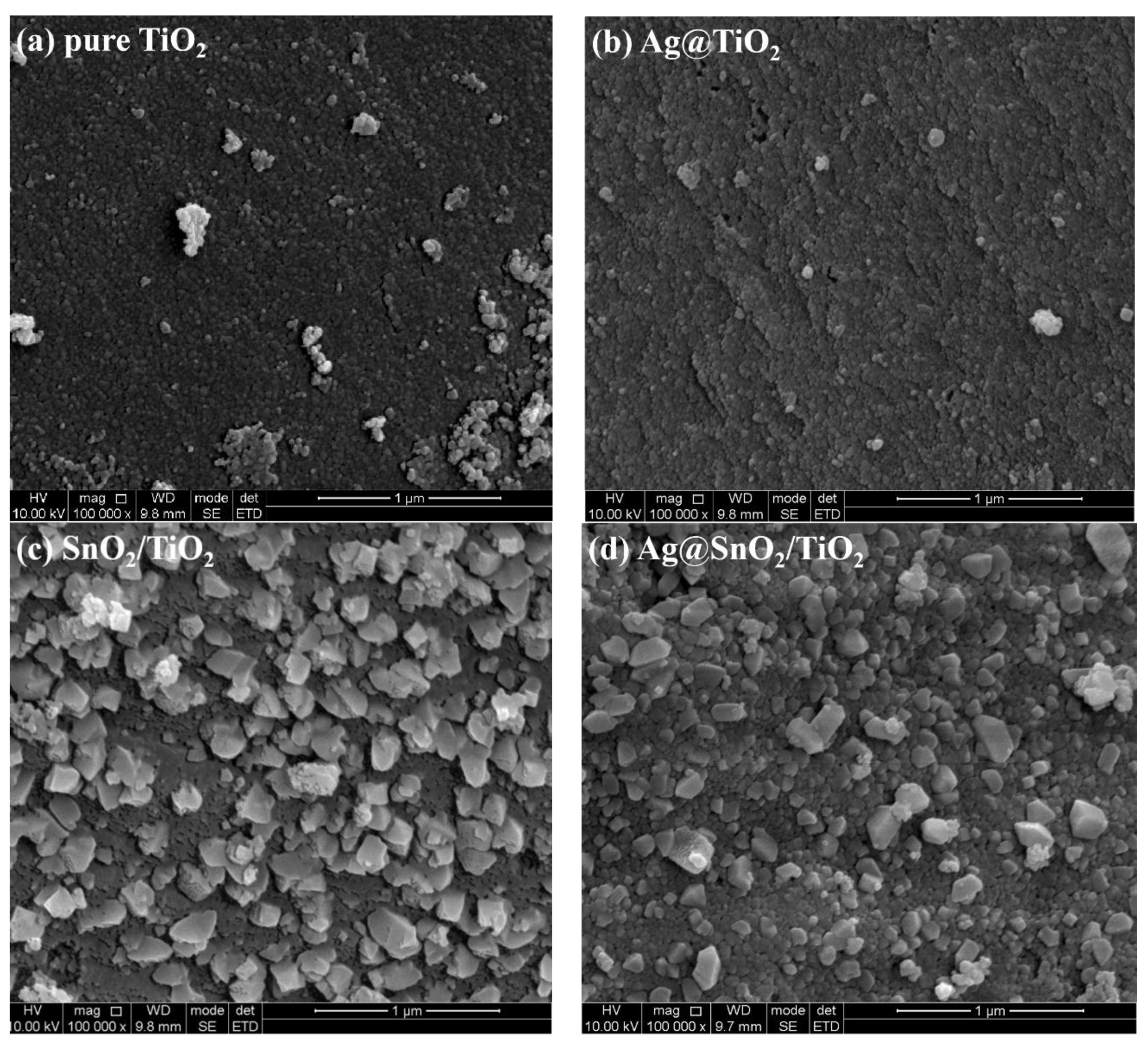 Nanomaterials 12 00873 g002