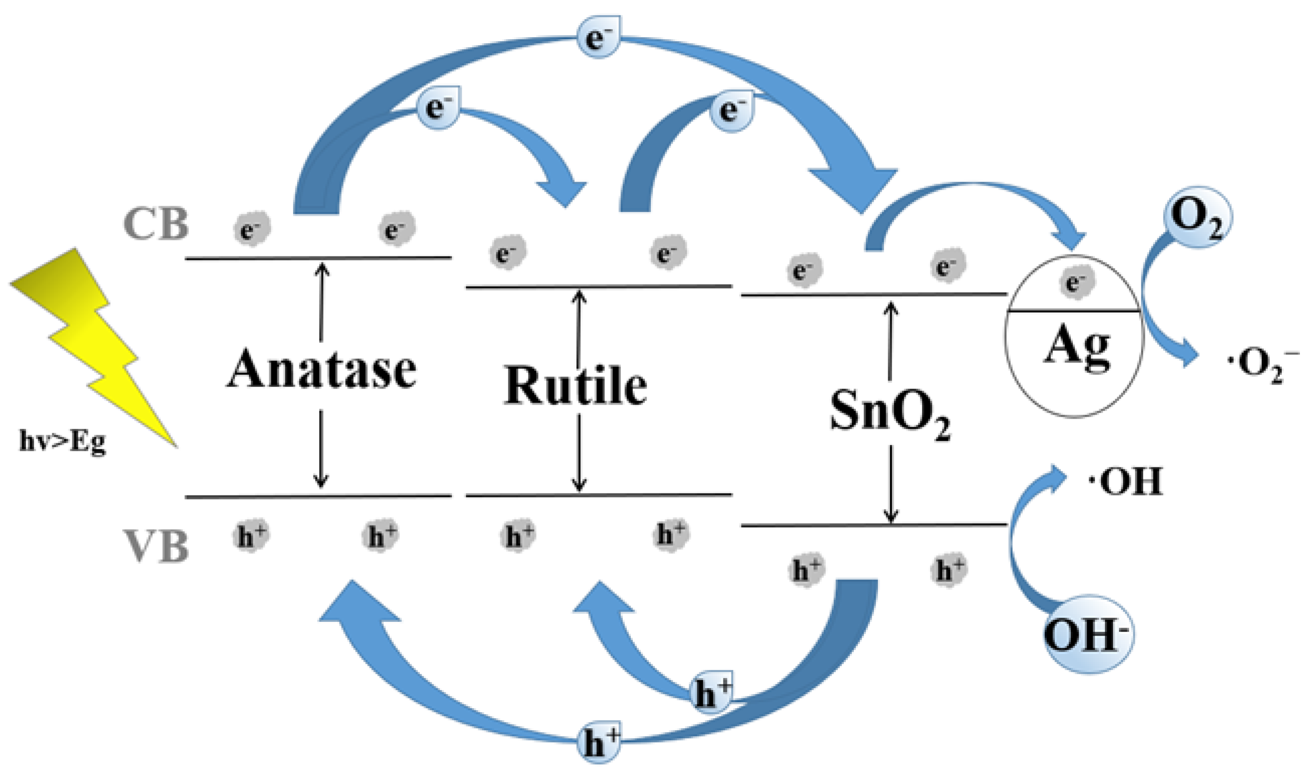 Nanomaterials 12 00873 g010