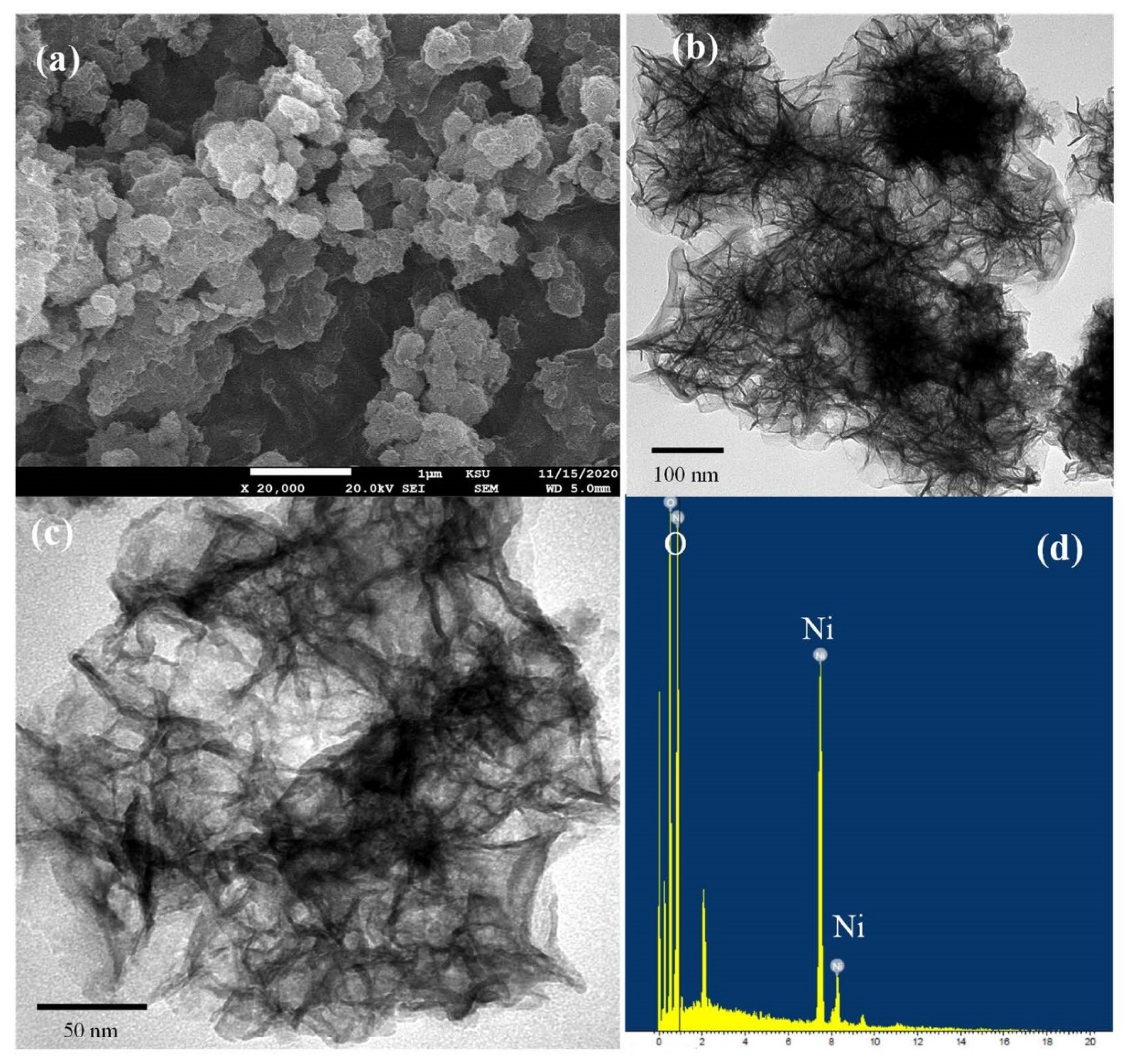 Nanomaterials 12 00879 g001