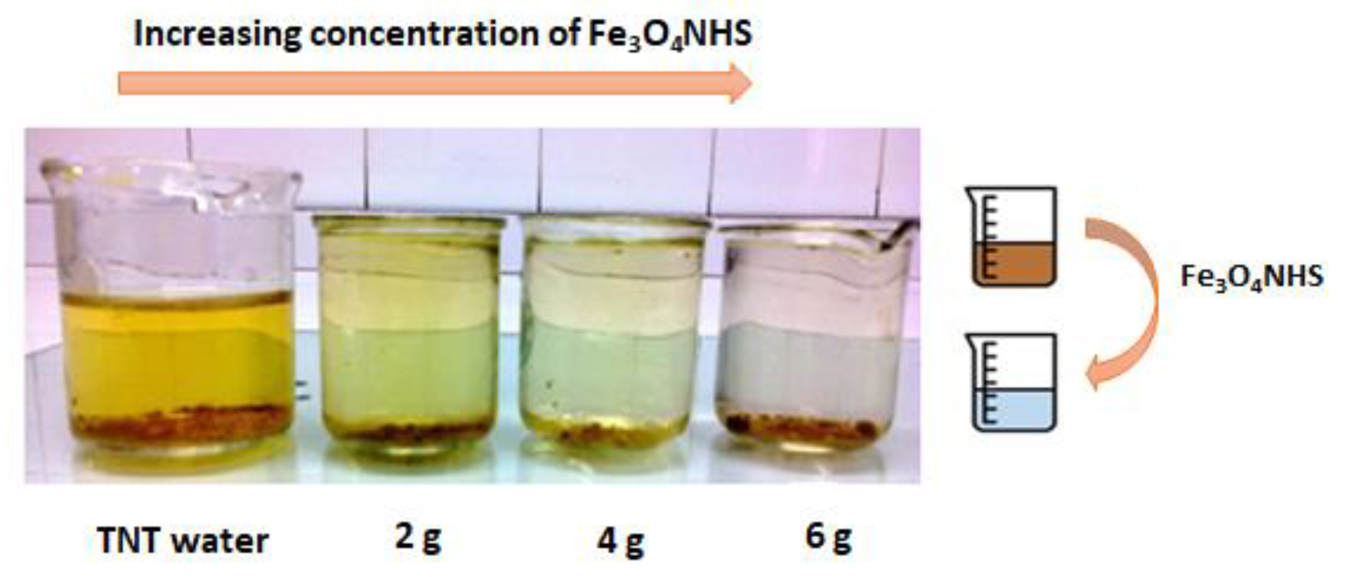 Nanomaterials 12 00881 g010