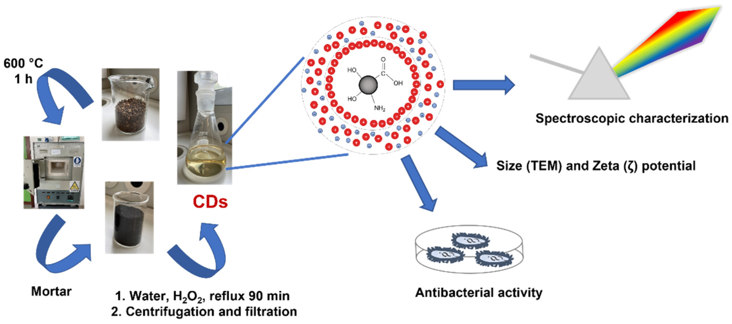 Nanomaterials 12 00885 g001