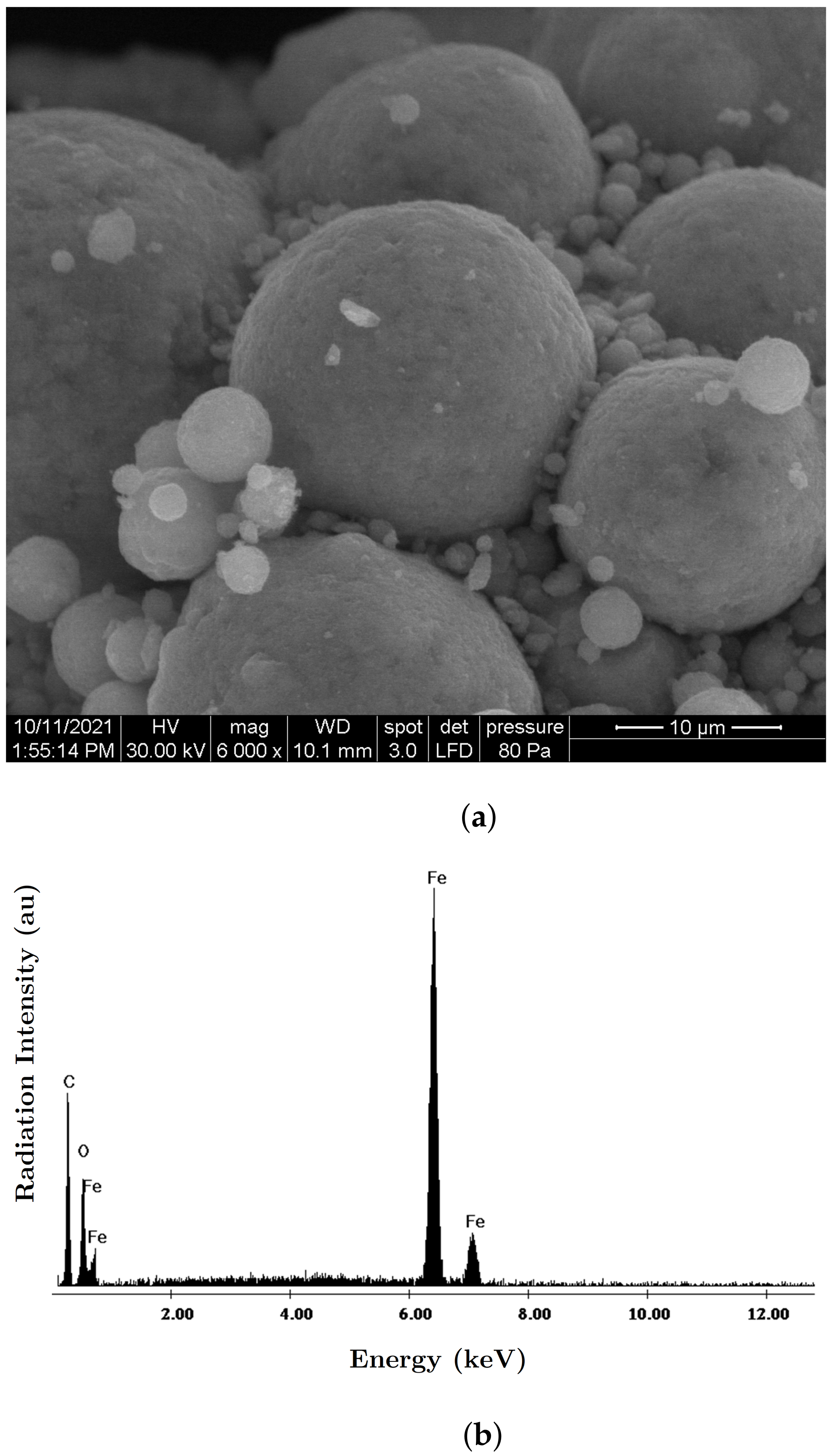 Nanomaterials 12 00888 g003