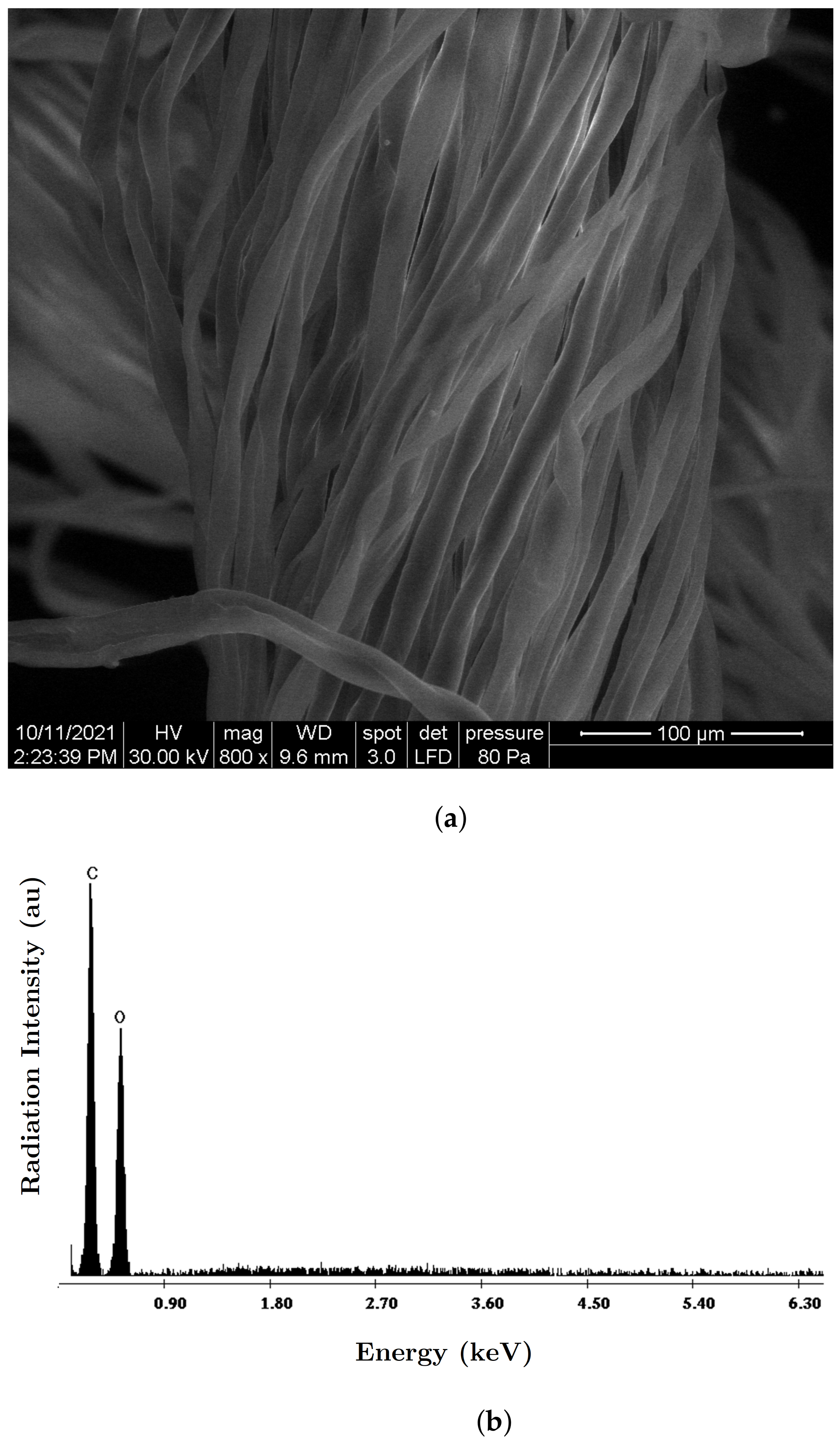 Nanomaterials 12 00888 g004