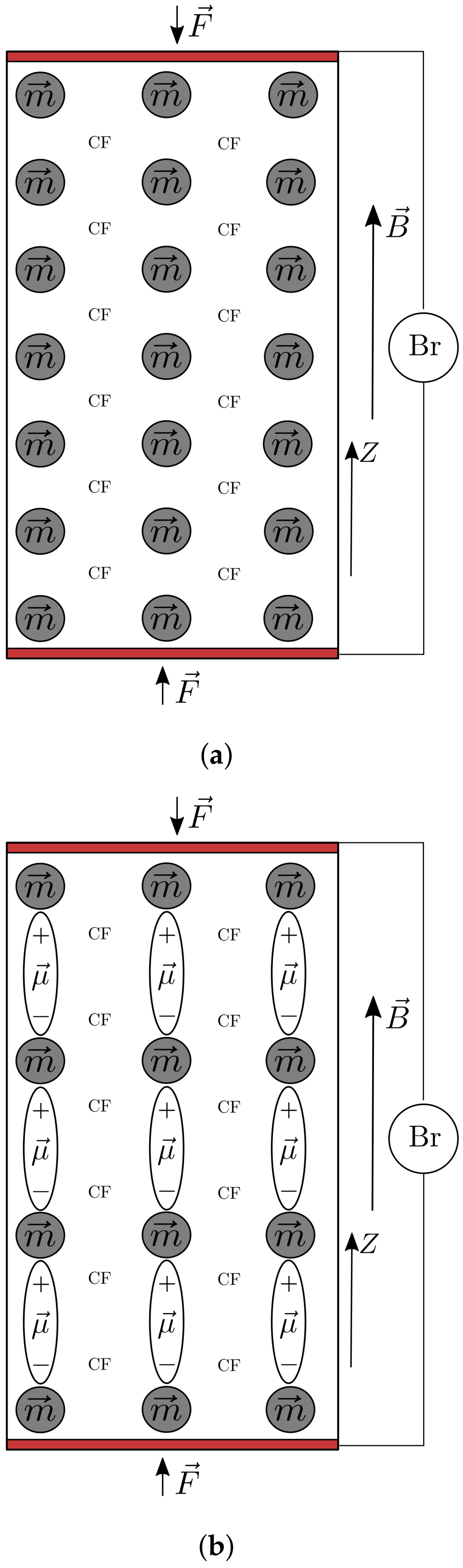 Nanomaterials 12 00888 g012
