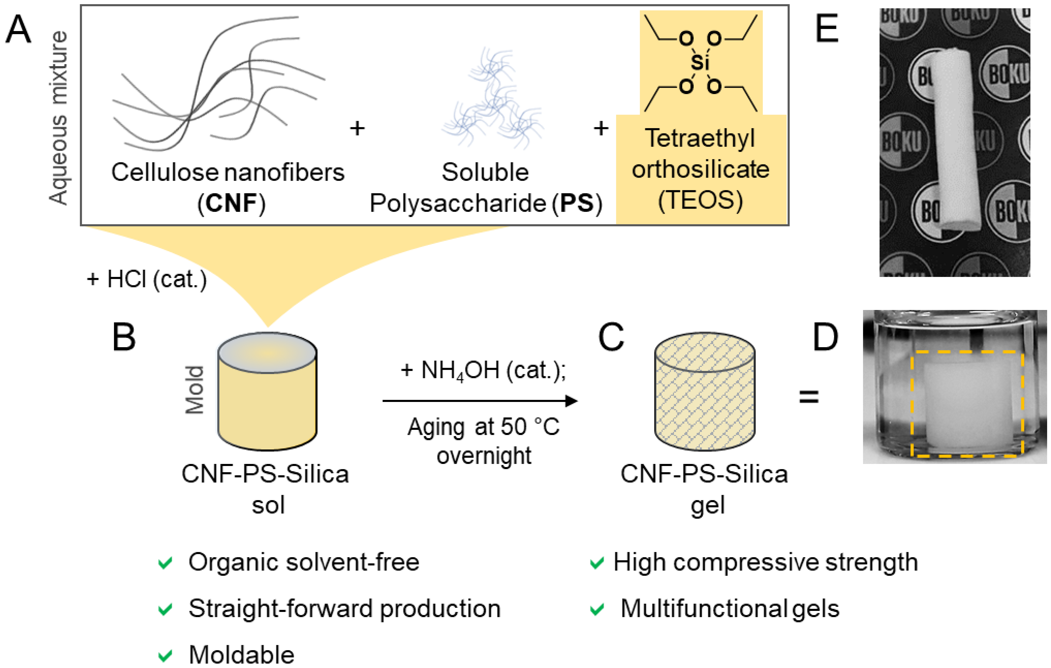 Nanomaterials 12 00895 g001