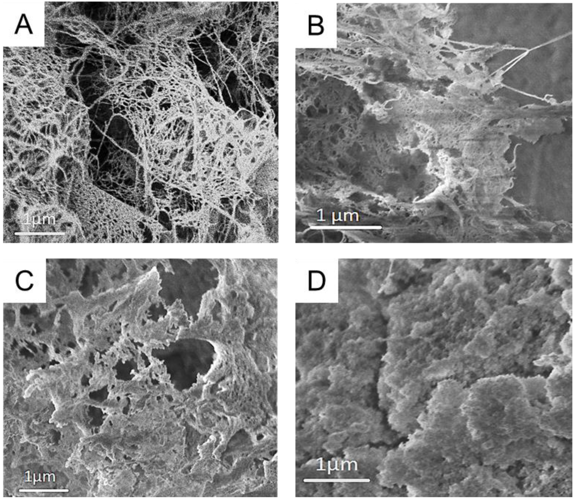 Nanomaterials 12 00895 g003
